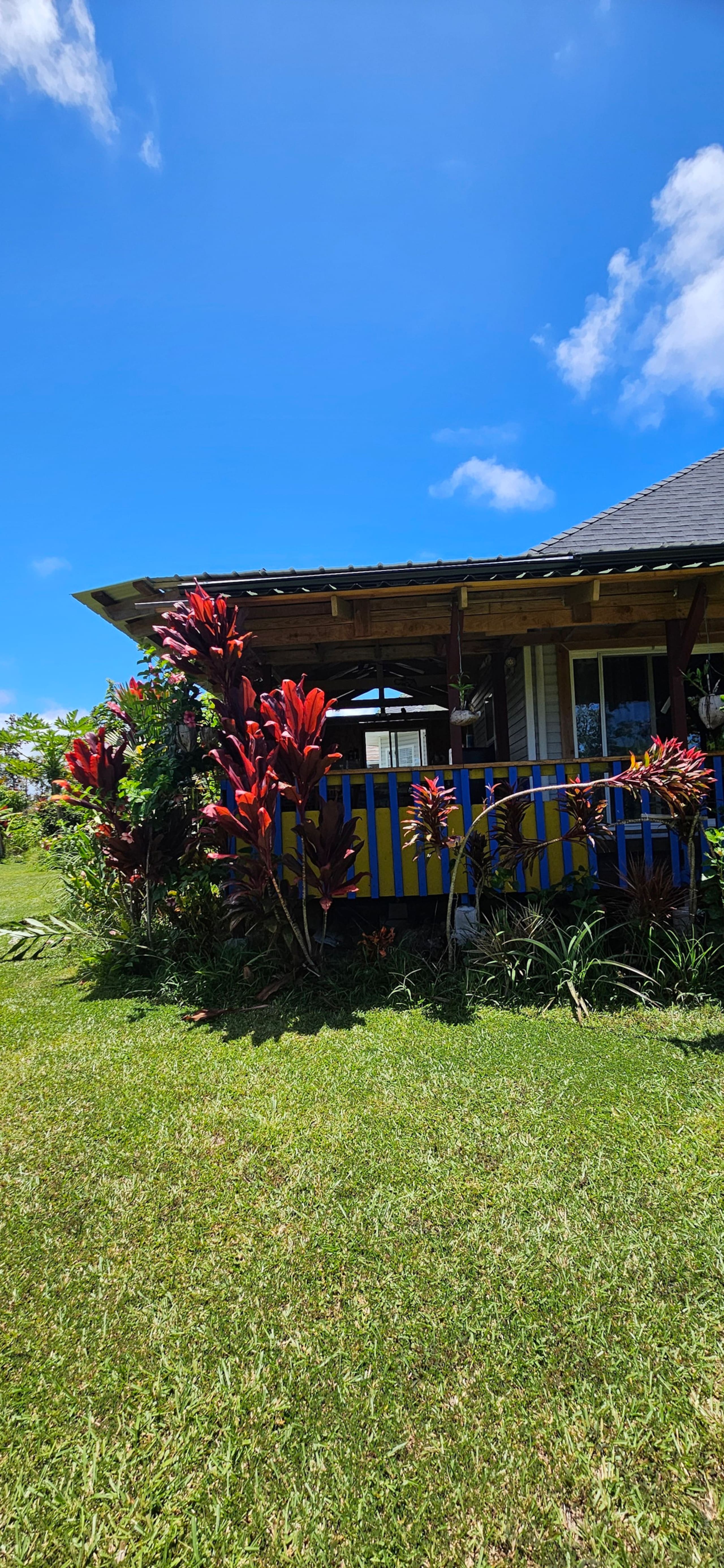 Paradise Private Suite - Photo 31