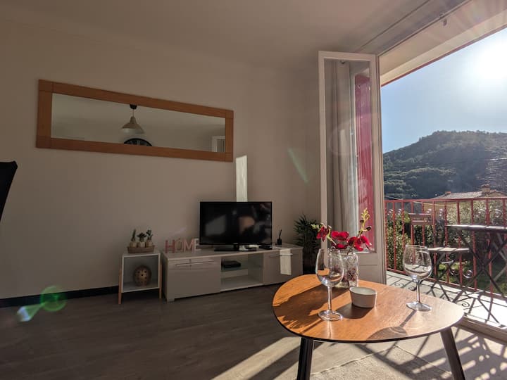 T2 Calme Clim Balcon Parking Idéal Cure Thermale - Amélie-les-Bains-Palalda