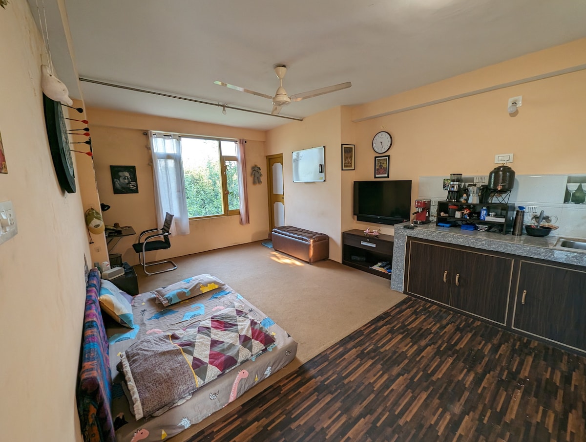 A cozy studio apartment is shown, featuring a comfortable sleeping area with a colorful blanket. A wall-mounted television and a coffee station are visible beside a well-equipped kitchen. Natural light streams through a large window, illuminating the warm-toned walls and wooden flooring.