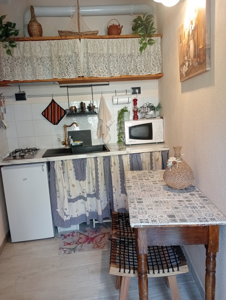 Mini 010046 - Recco