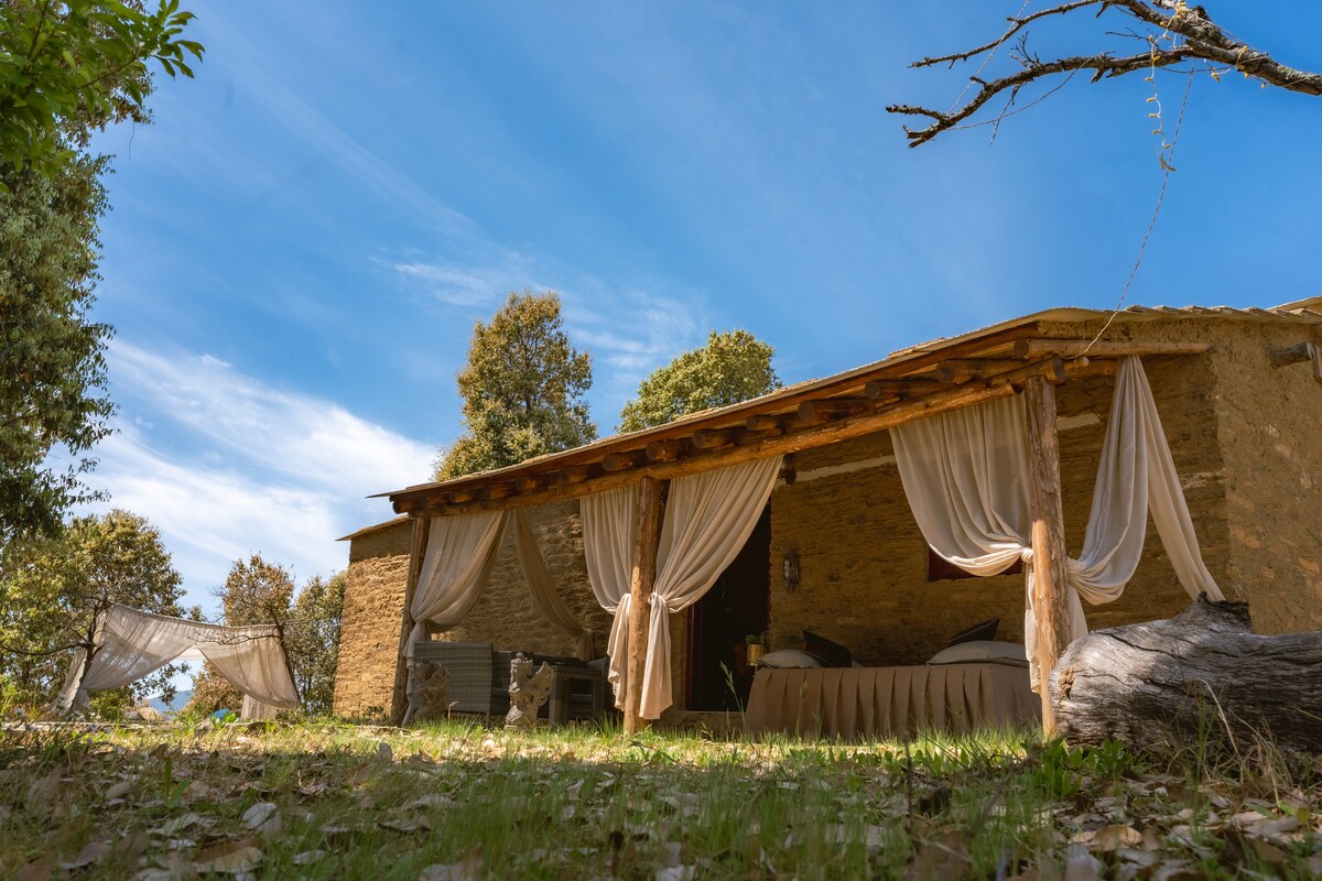 A heritage cottage features a private veranda with flowing curtains, creating a serene ambiance. The structure is surrounded by greenery, with natural light filtering through the trees. A cozy seating area is visible in the foreground, inviting relaxation amidst the peaceful setting.