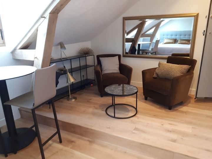 Parlement - Studio - Bail Mobilité Ou éTudiant - Rennes