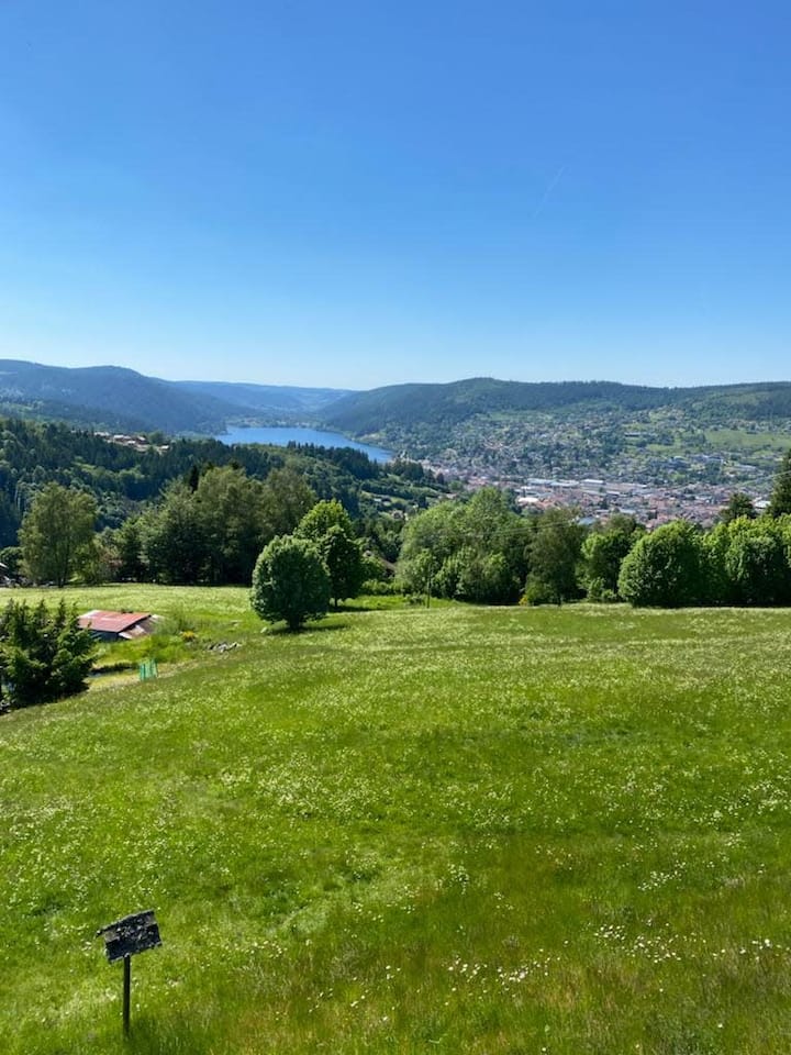 Le Perchoir - 14 Pers - Vue Lac - Sauna - La Bresse