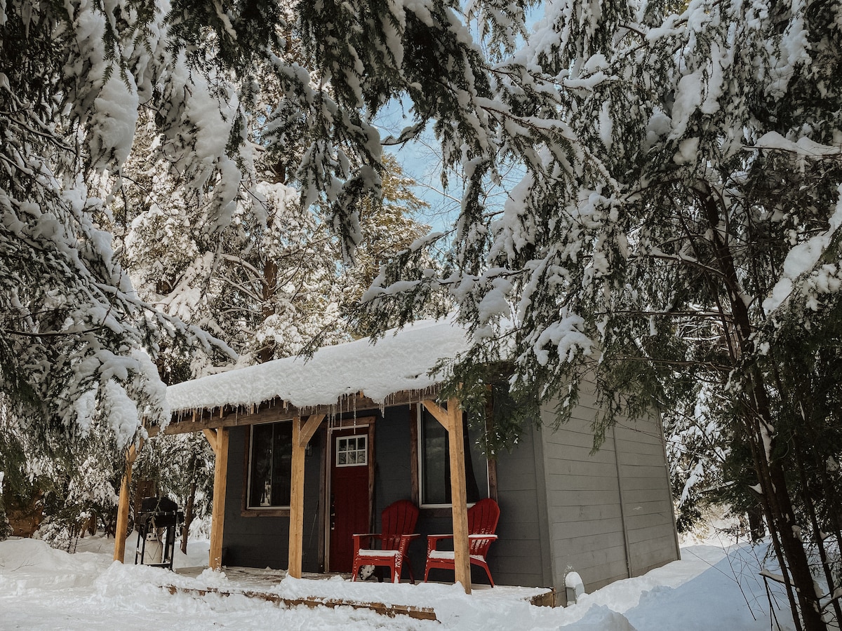 A cozy cabin is nestled among snow-covered trees, displaying a welcoming red door and a generous porch. Two red chairs are positioned outside, and snow gently rests on the roof and surrounding branches, creating a serene winter atmosphere.