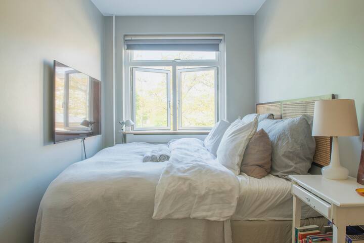 Completely renovated Apt viewing over Kings Garden gallery image 5