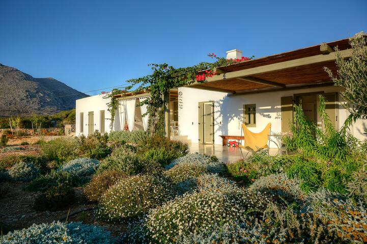 Villa Handras, MainVilla, by Amorgos Holiday Homes