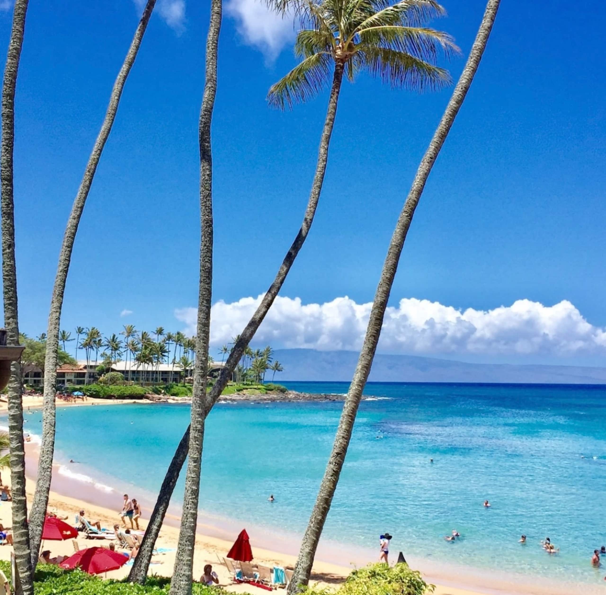 Condo in Lahaina · ★4.99 · 1 bedroom · 1 bed · 1 private bath - Image 34