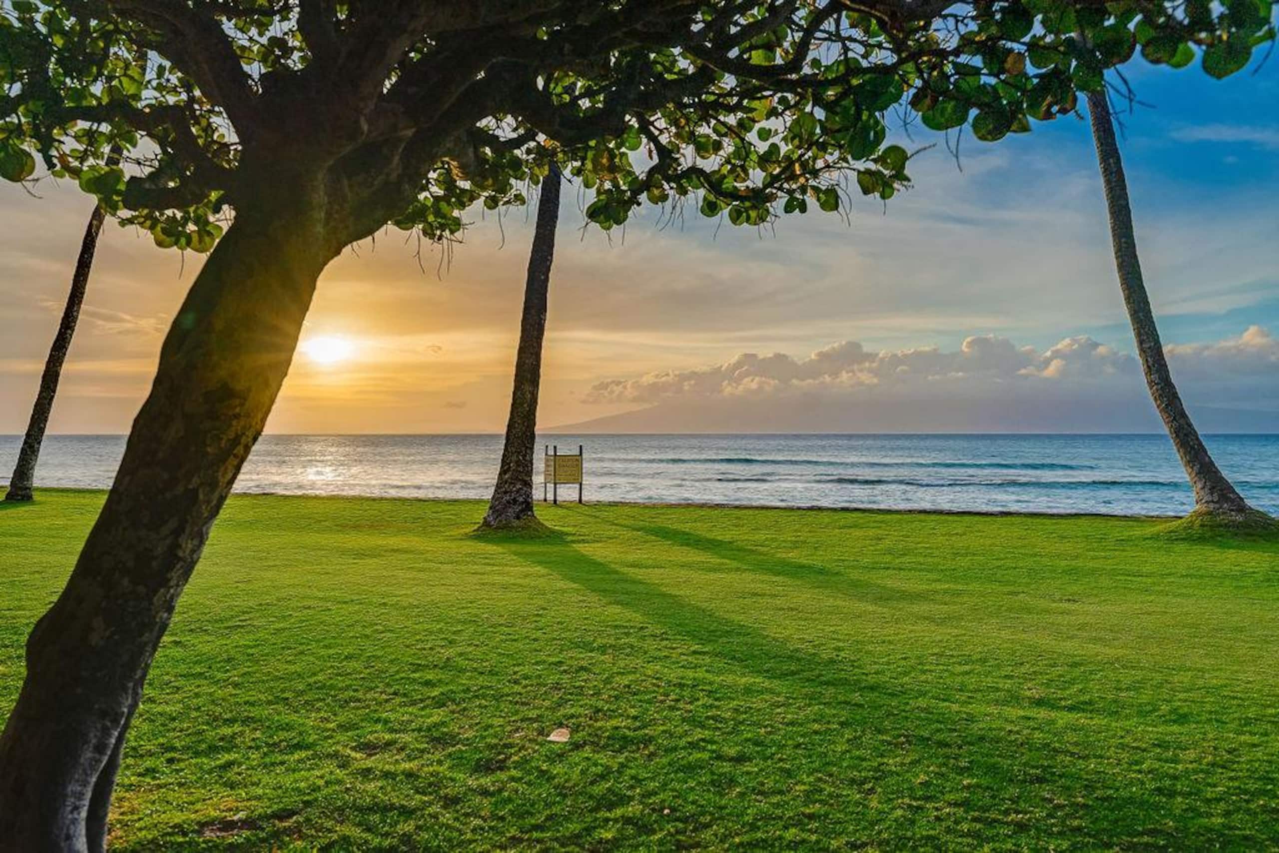 Condo in Lahaina · ★5.0 · 1 bedroom · 2 beds · 1 bath - Image 66