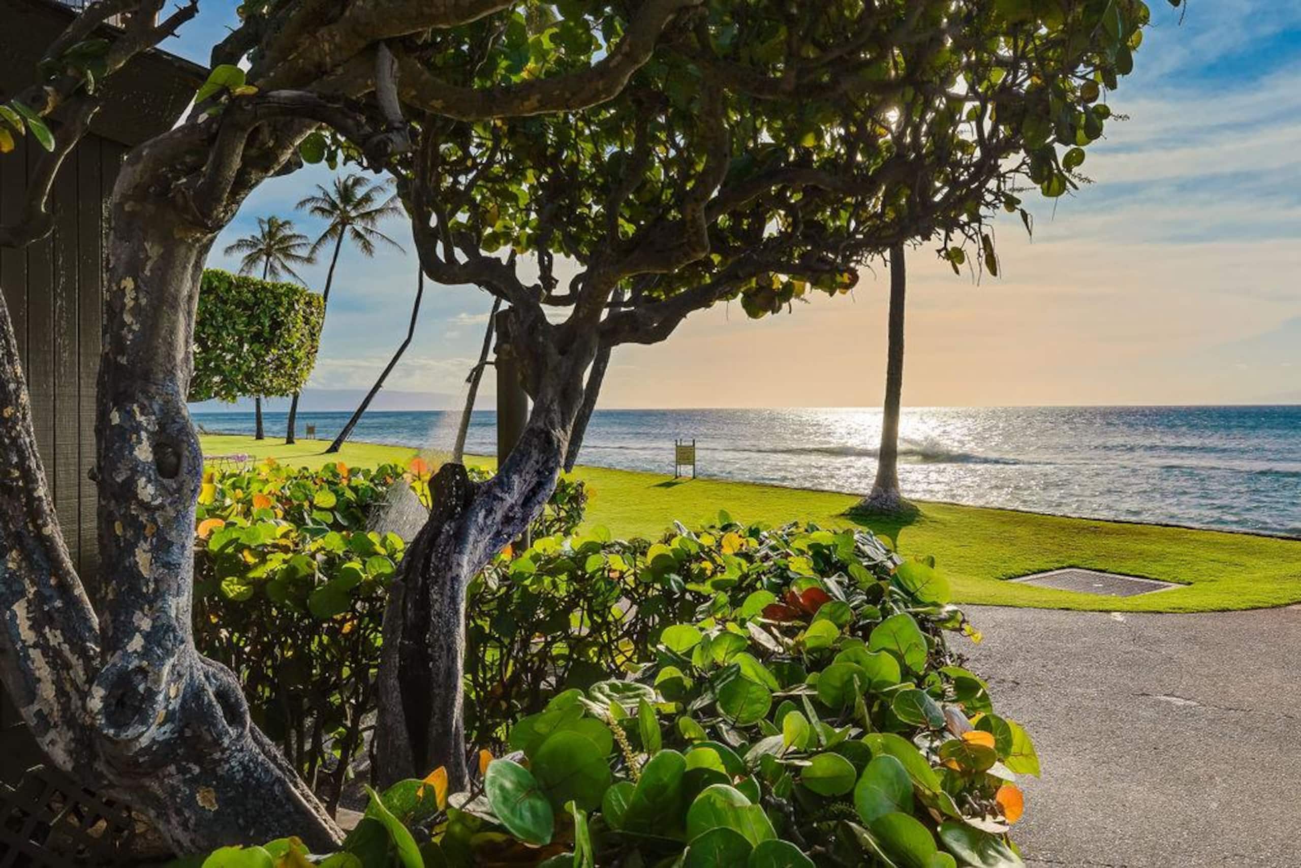 Condo in Lahaina · ★5.0 · 1 bedroom · 2 beds · 1 bath - Image 77