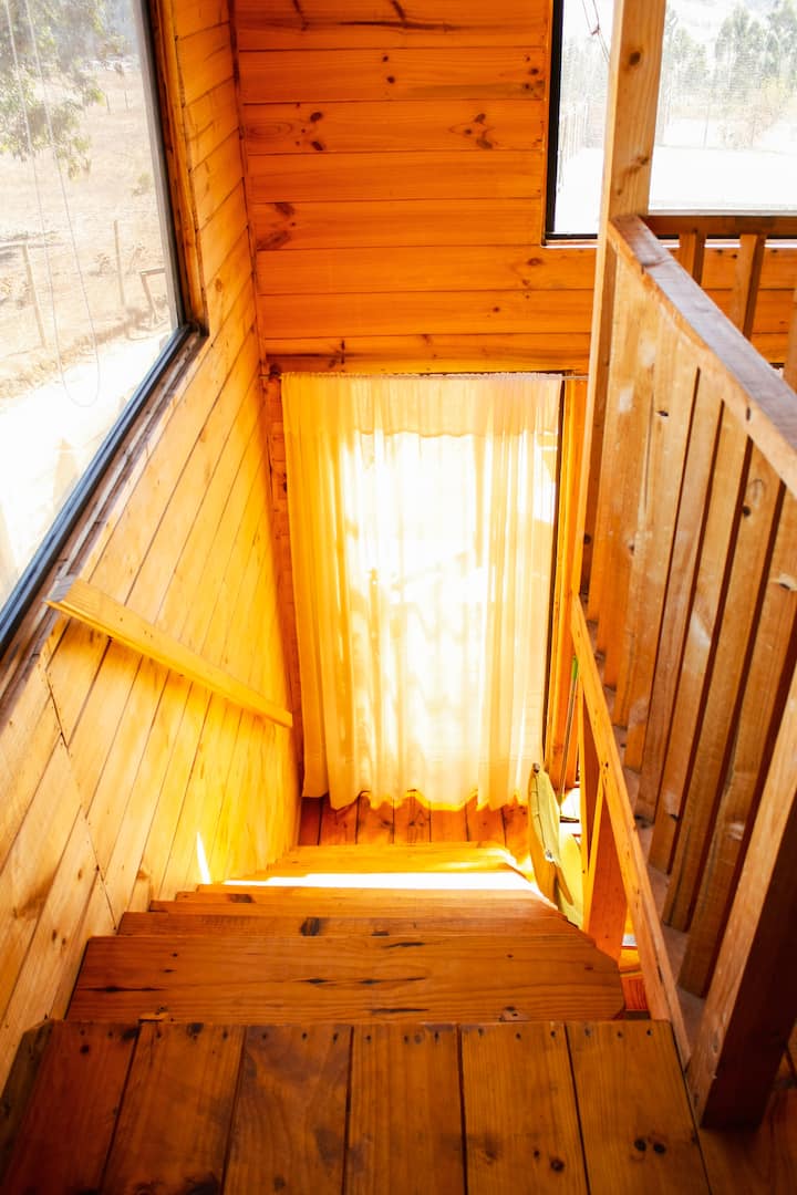 საძინებელი