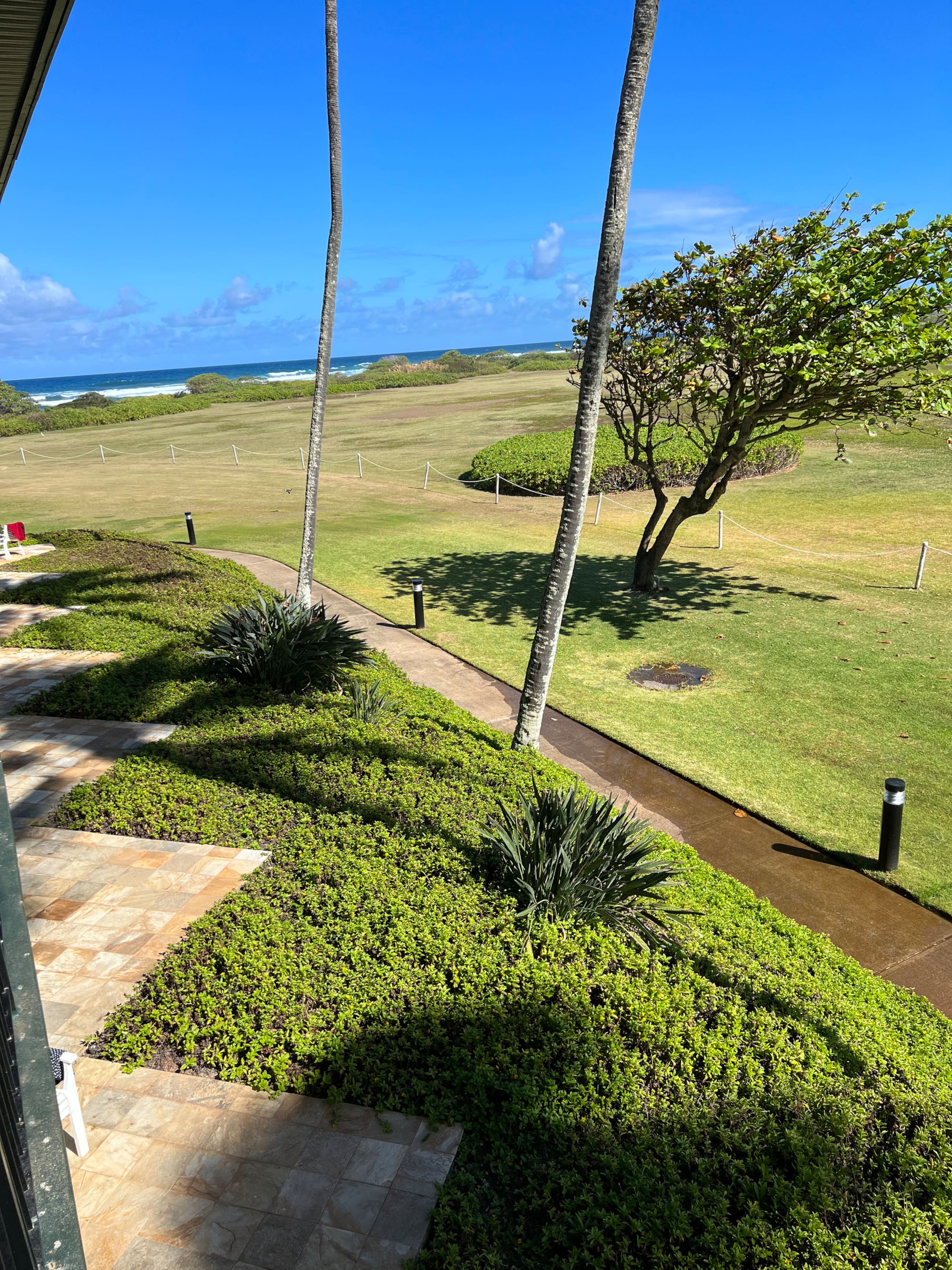 Condo in Lihue · ★4.62 · 1 bedroom · 1 bed · 1 private bath - Image 11