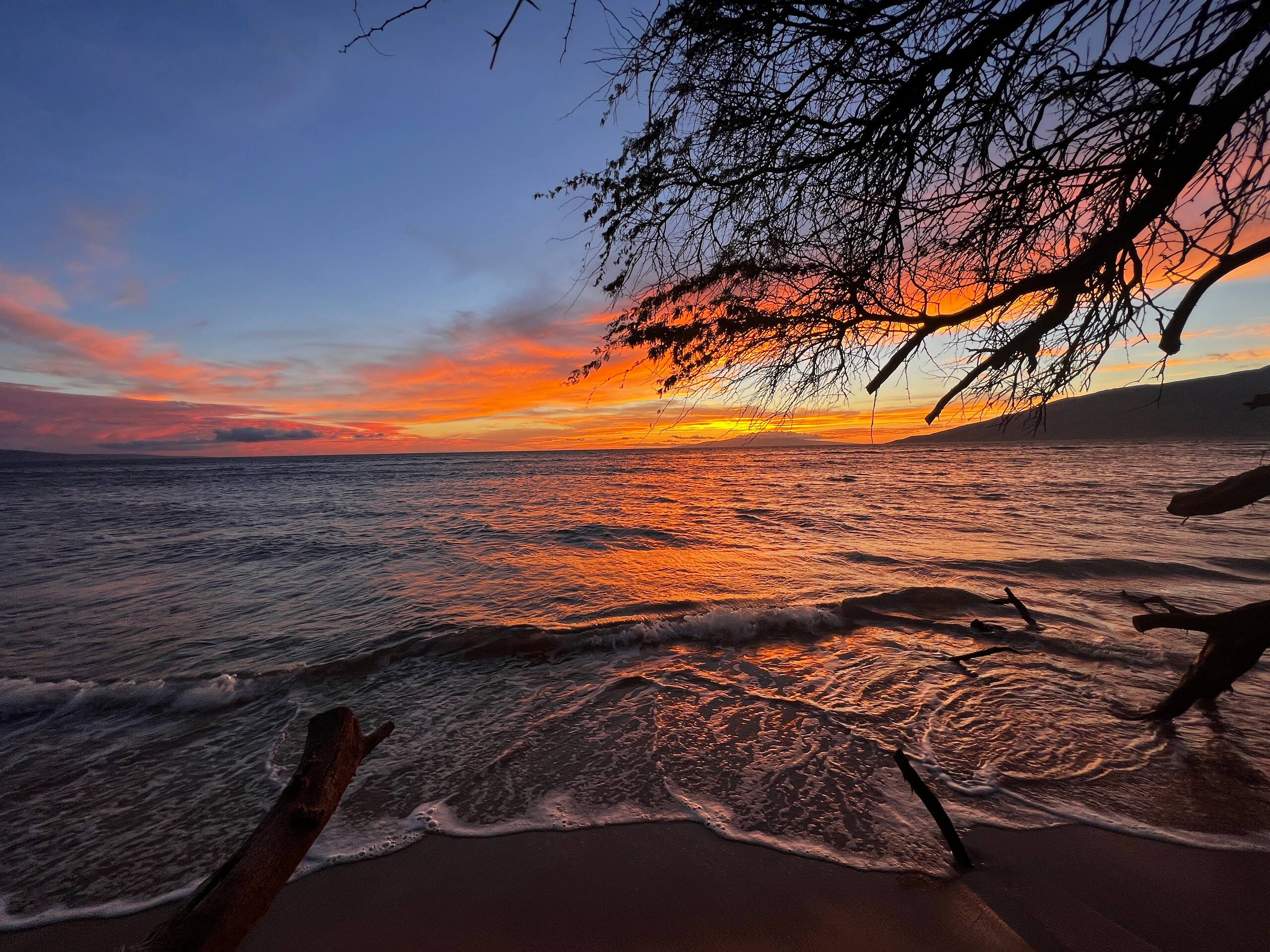 Condo in Kihei · ★4.95 · 2 bedrooms · 4 beds · 1 bath - Image 34
