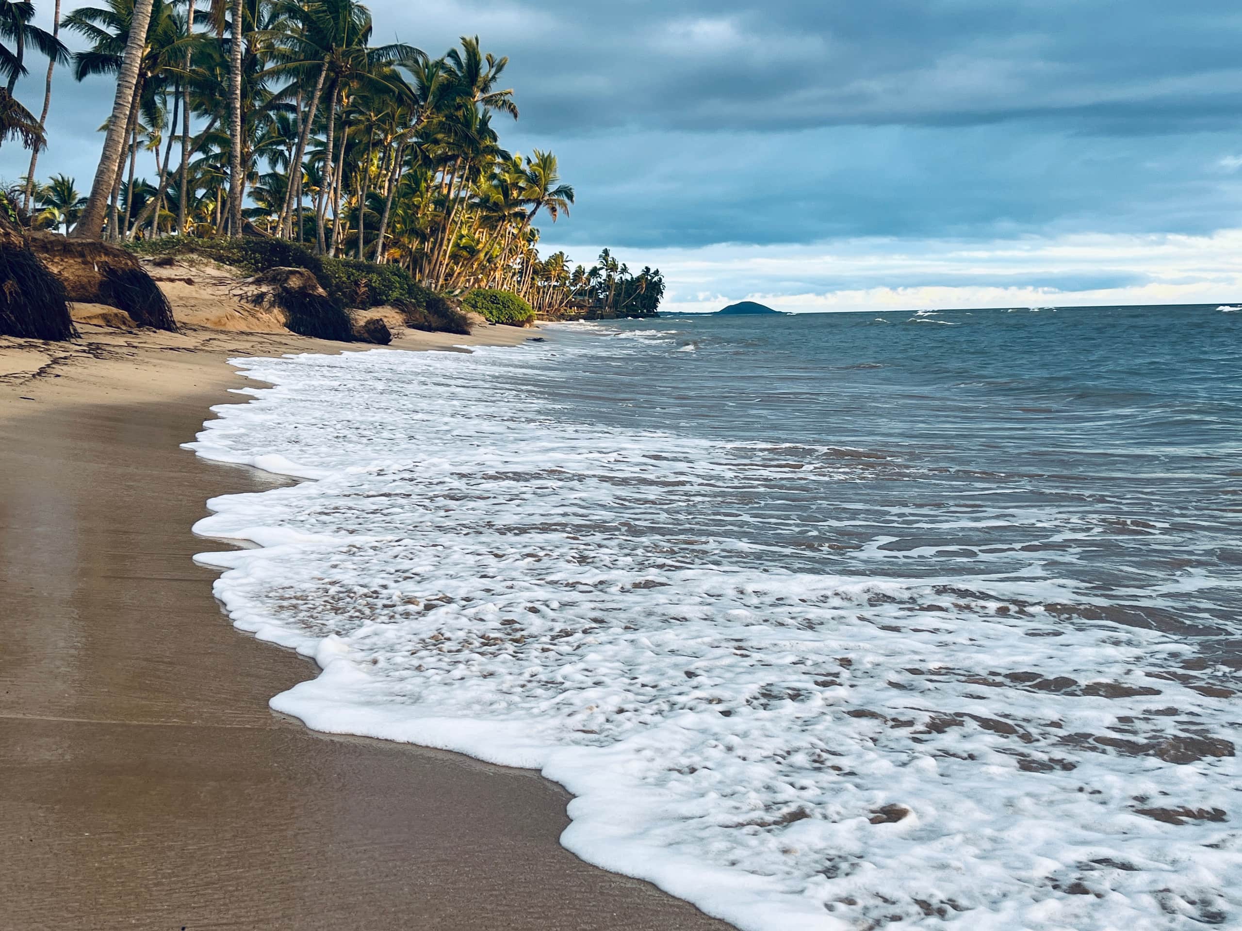 Condo in Kihei · ★4.95 · 2 bedrooms · 4 beds · 1 bath - Image 37