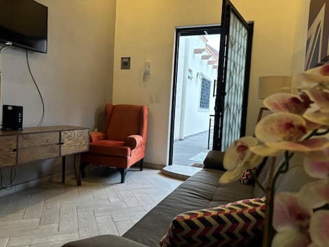 Successful Airbnb property: DEPARTMENT C LA HIDALGO, DIVINE COMFORTABLE AND CENTRAL in Chapala
