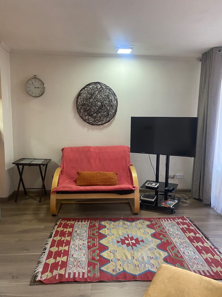 Departamento En Providencia - Providencia