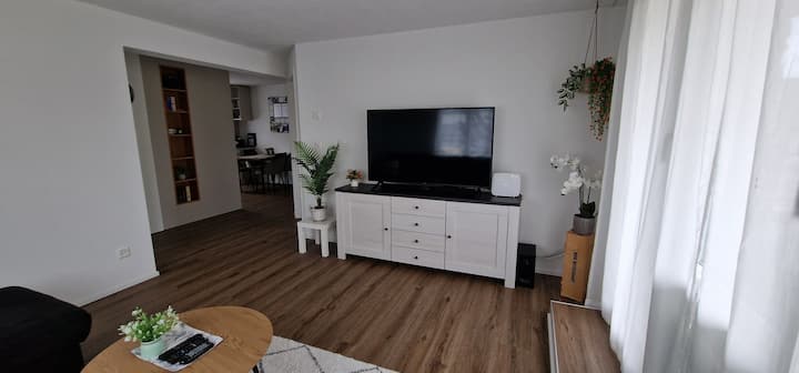 3 Zimmer Wohnung In Der Nähe Zum Vierwaldstättersee - Vitznau
