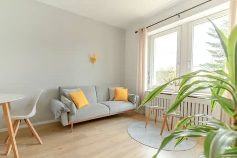 Löwe Apartments – Old Town, Parking & Smart TV
