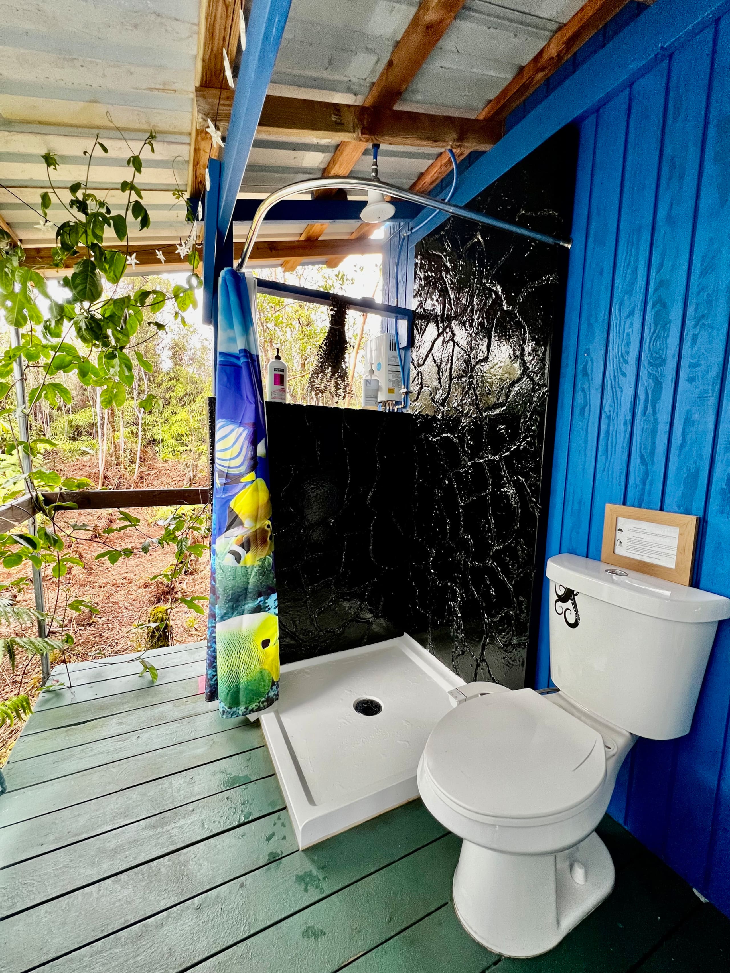 Cabin in Mountain View · ★4.94 · 1 bedroom · 1 bed · 1 private bath - Image 7