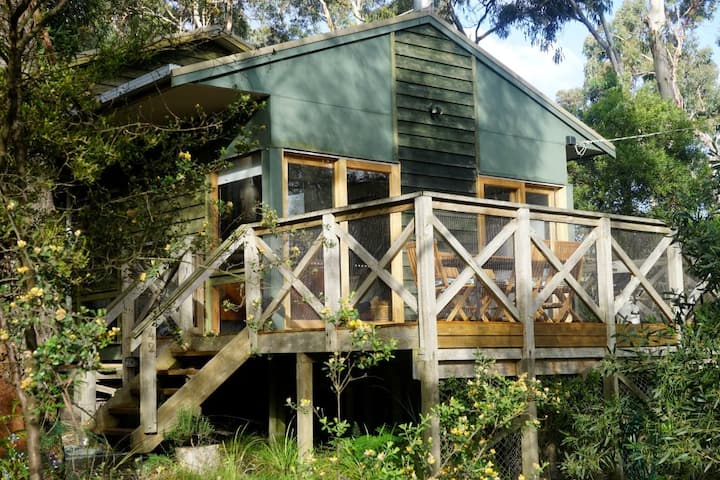 Beach House In The Bush - Lorne