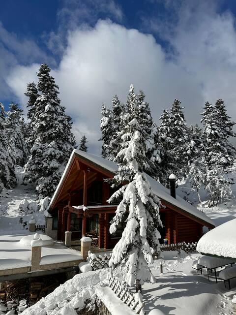 Luxury Chalet
