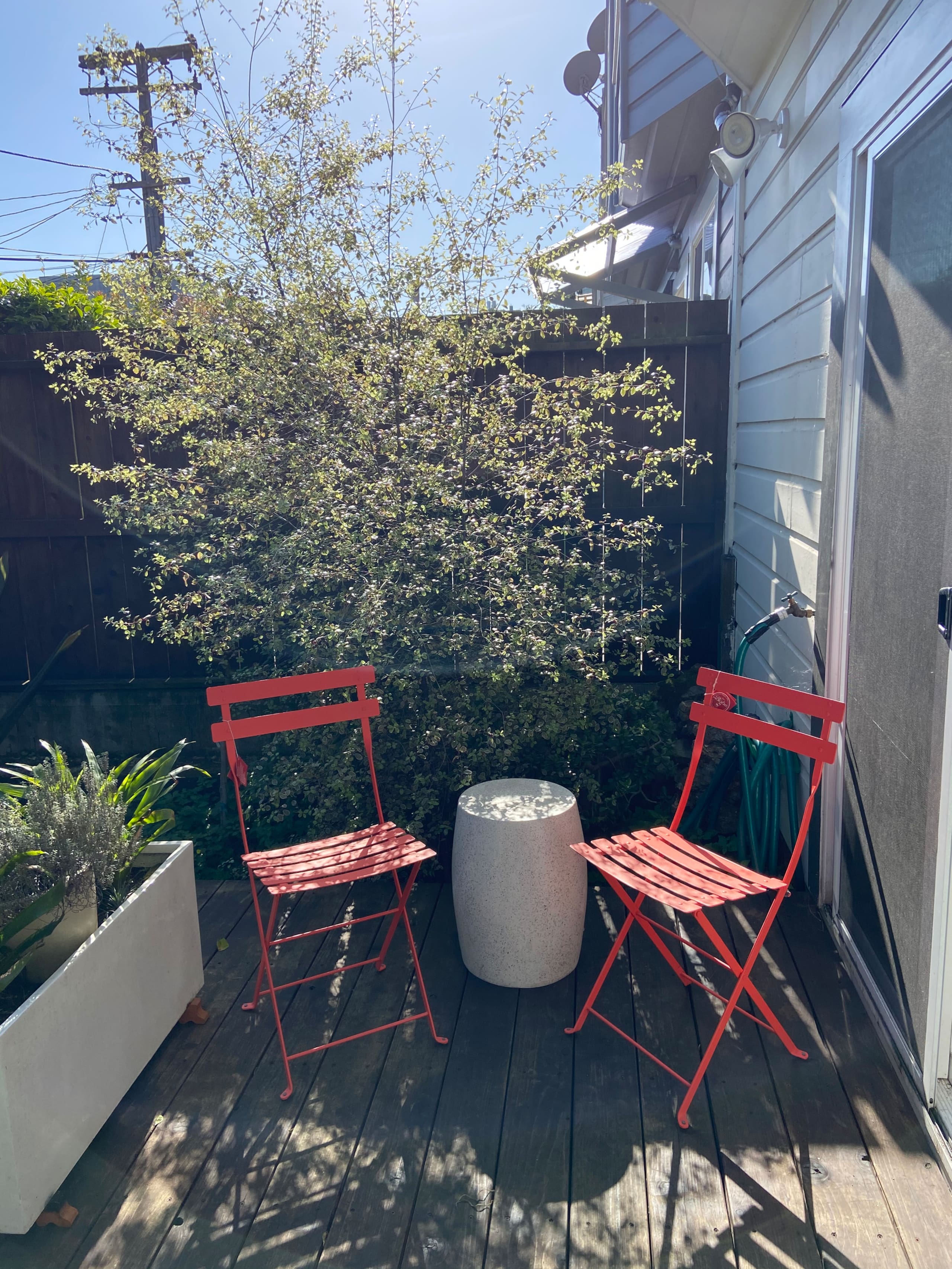 Peaceful garden space in nice neighborhood in SF - Image 13