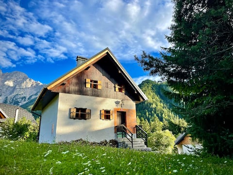 The cozy mountain chalet