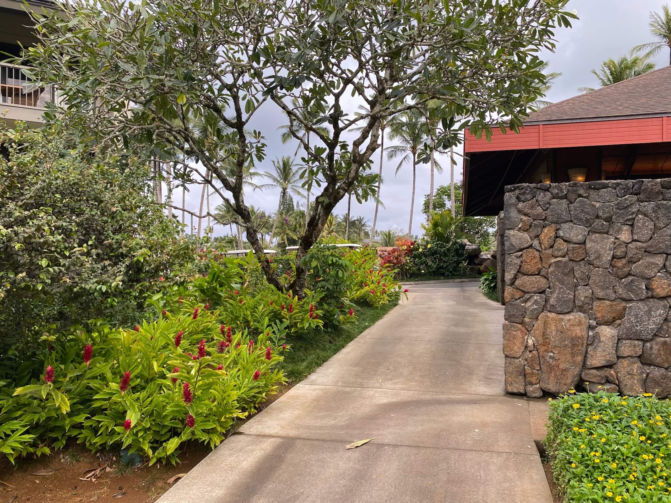 Condo in Princeville · ★4.98 · 2 bedrooms · 3 beds · 2 baths - Image 31