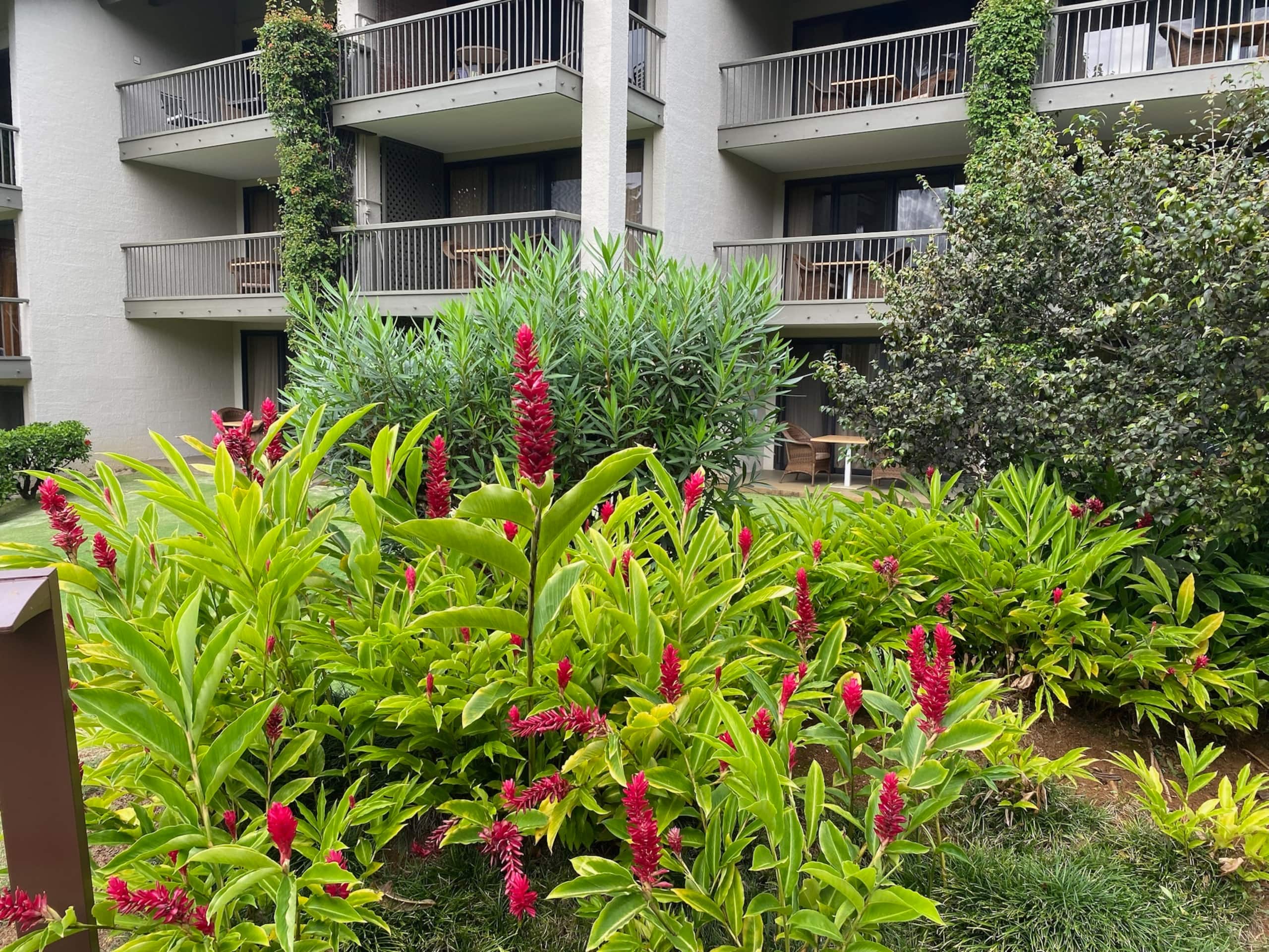 Condo in Princeville · ★4.98 · 2 bedrooms · 3 beds · 2 baths - Image 28