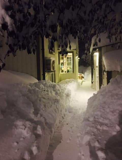 Available over Christmas & New Year