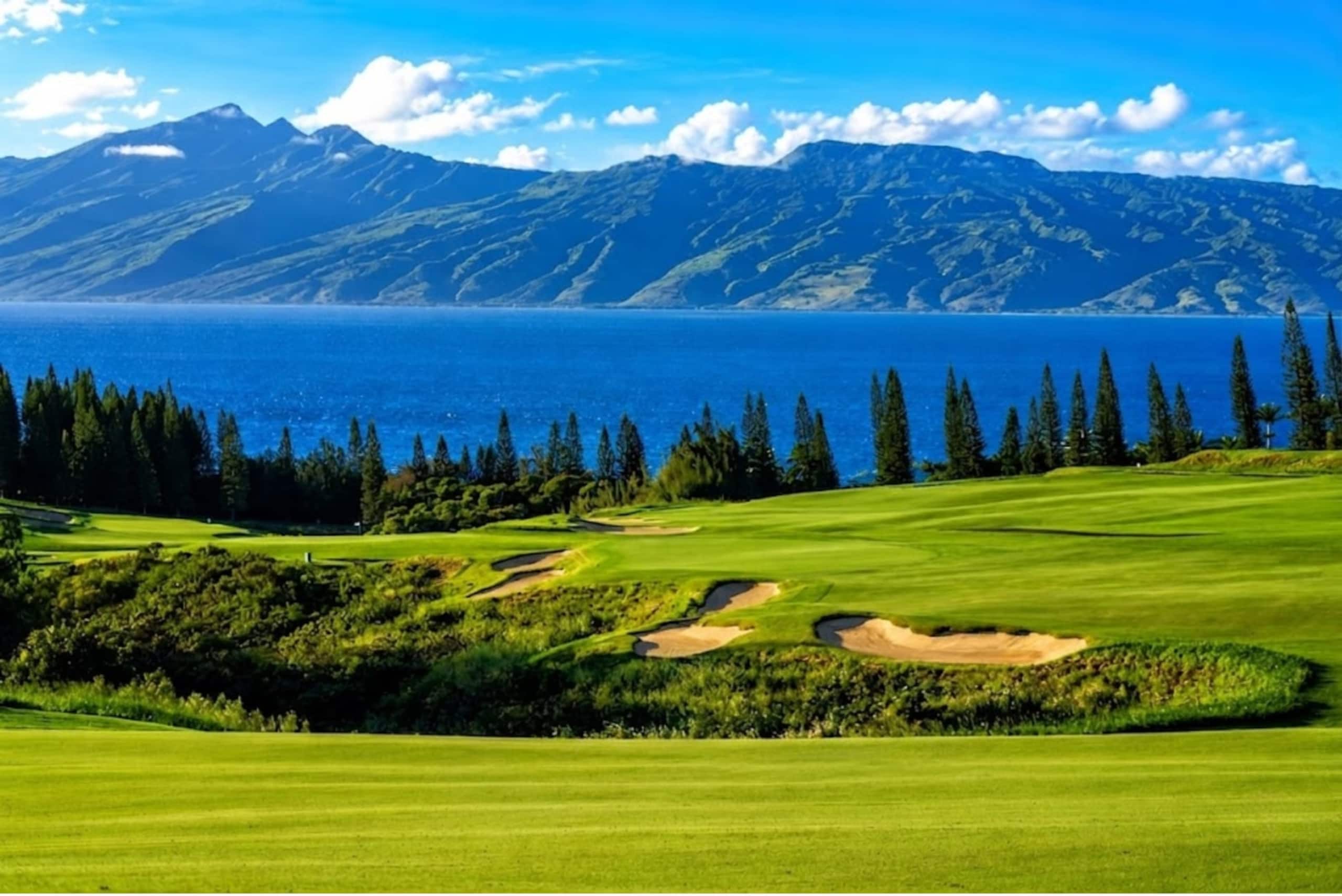 Condo in Lahaina · ★5.0 · 2 bedrooms · 2 beds · 2 baths - Image 28