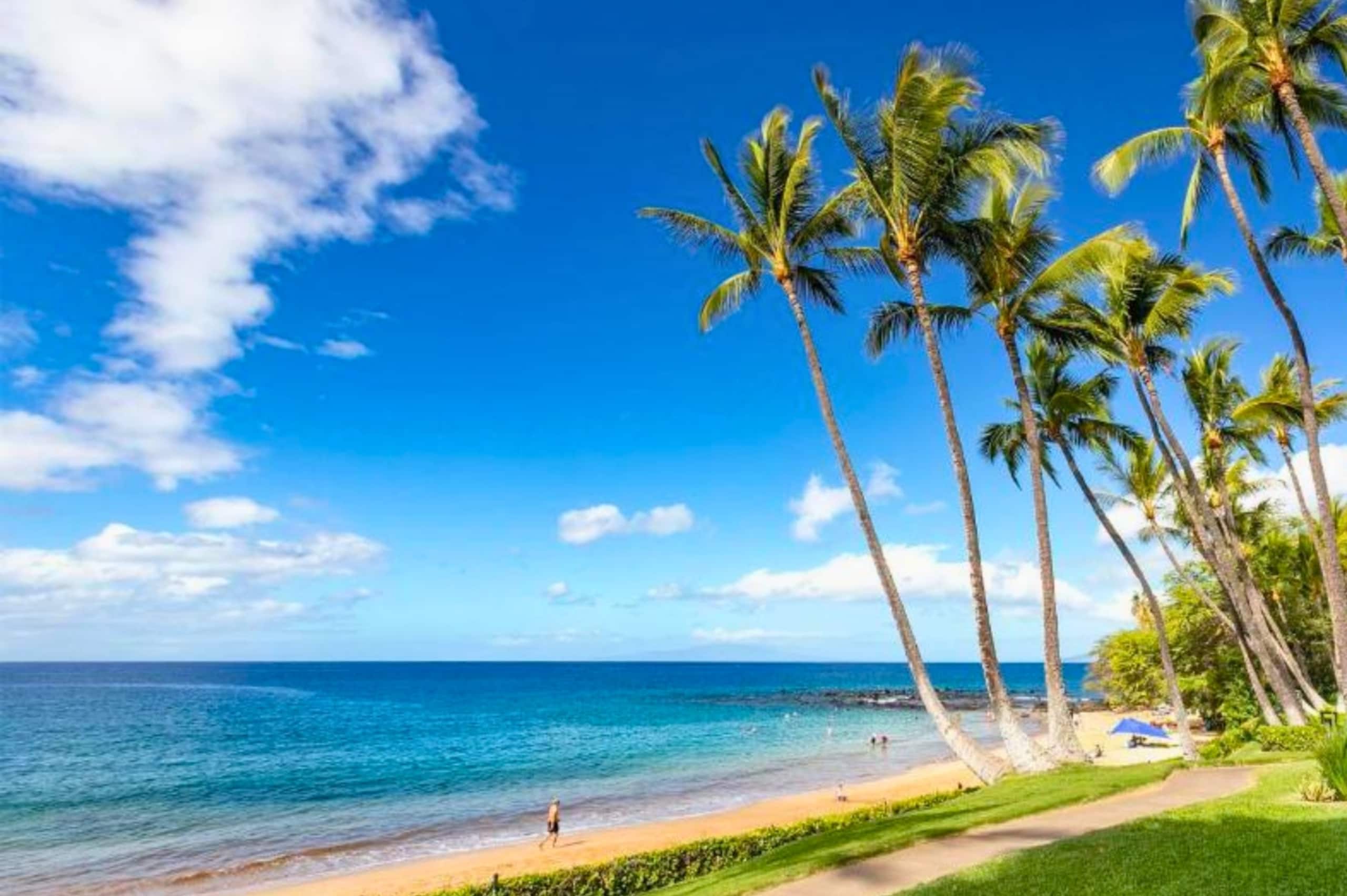Condo in Kihei · ★4.86 · 2 bedrooms · 3 beds · 2 baths - Image 30