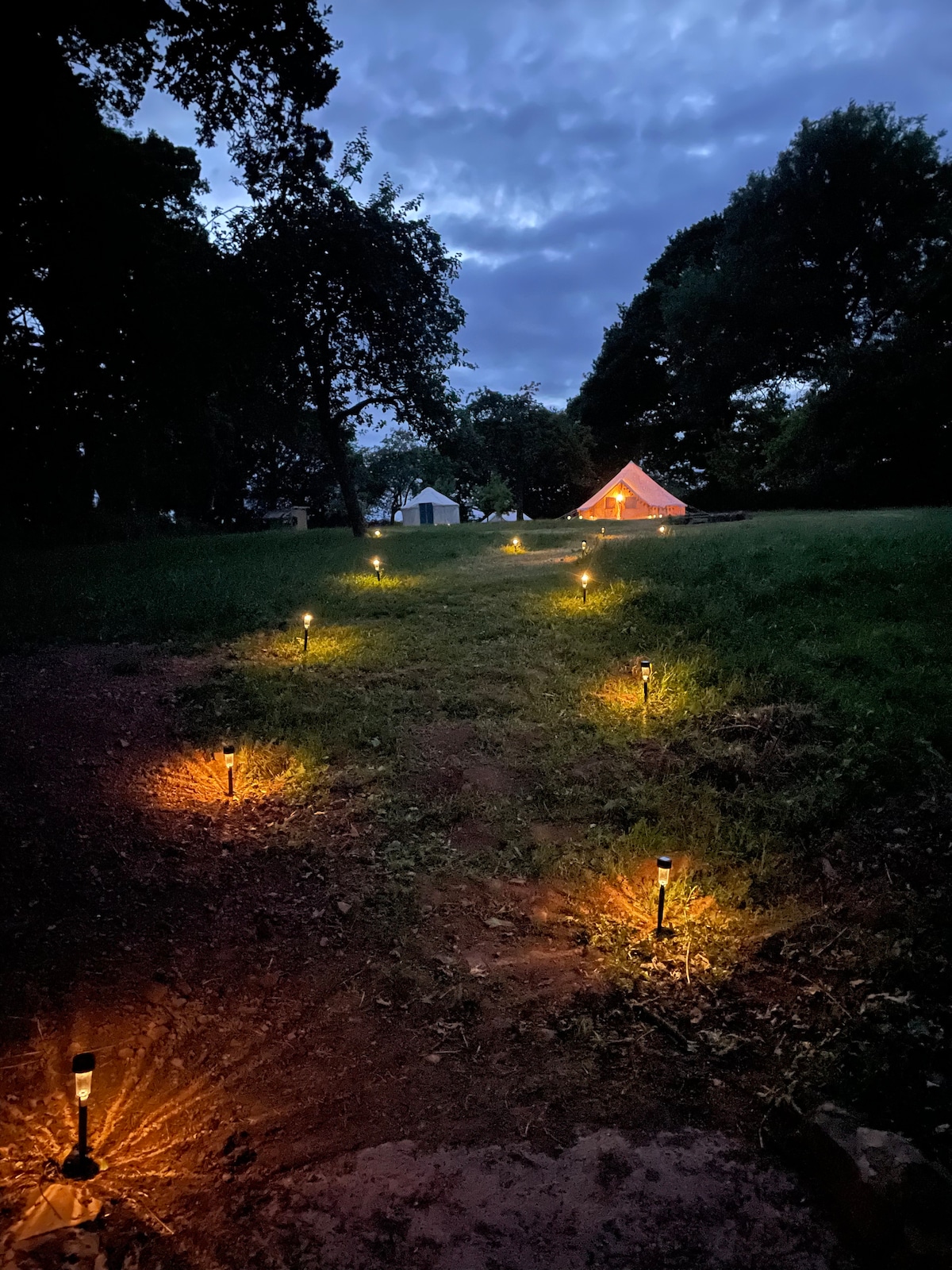 A gravel path leading through a grassy area is lined with soft glowing lights, illuminating the way towards a dimly lit bell tent. The surrounding trees create a natural setting, enhancing the peaceful ambiance as twilight descends.