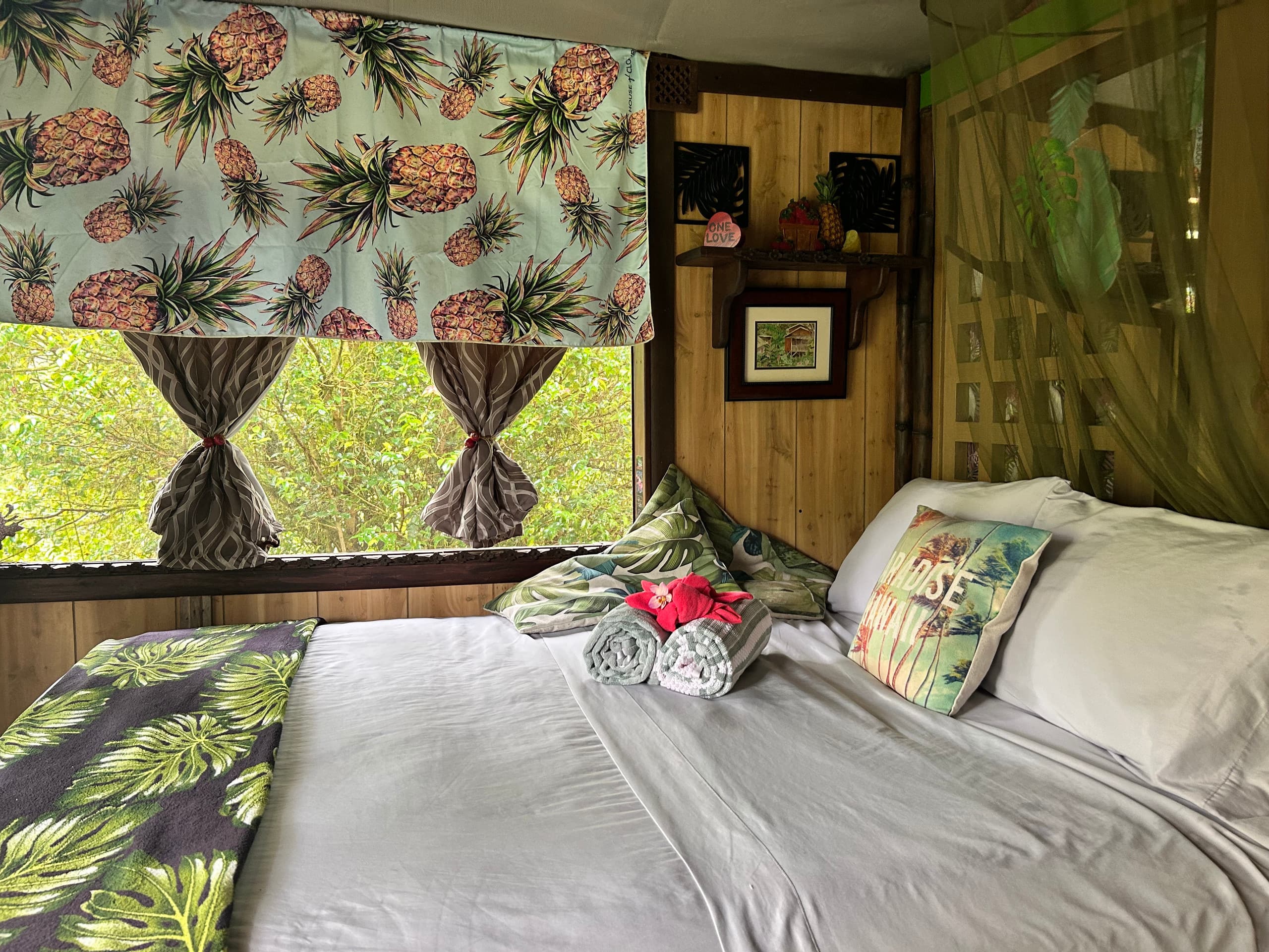 TROPICAL GARDEN OASIS - Main photo