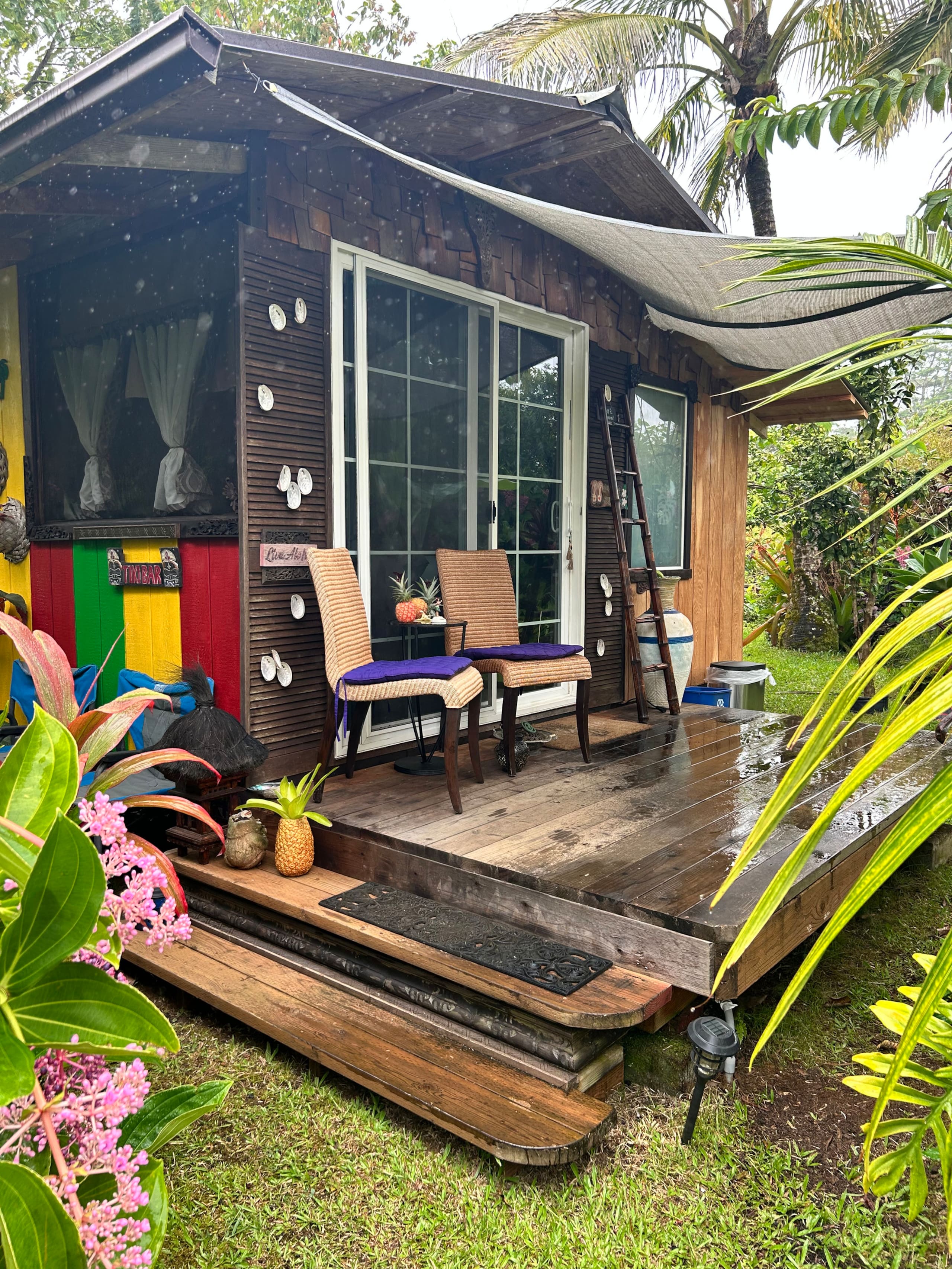 TROPICAL GARDEN OASIS - Photo 16