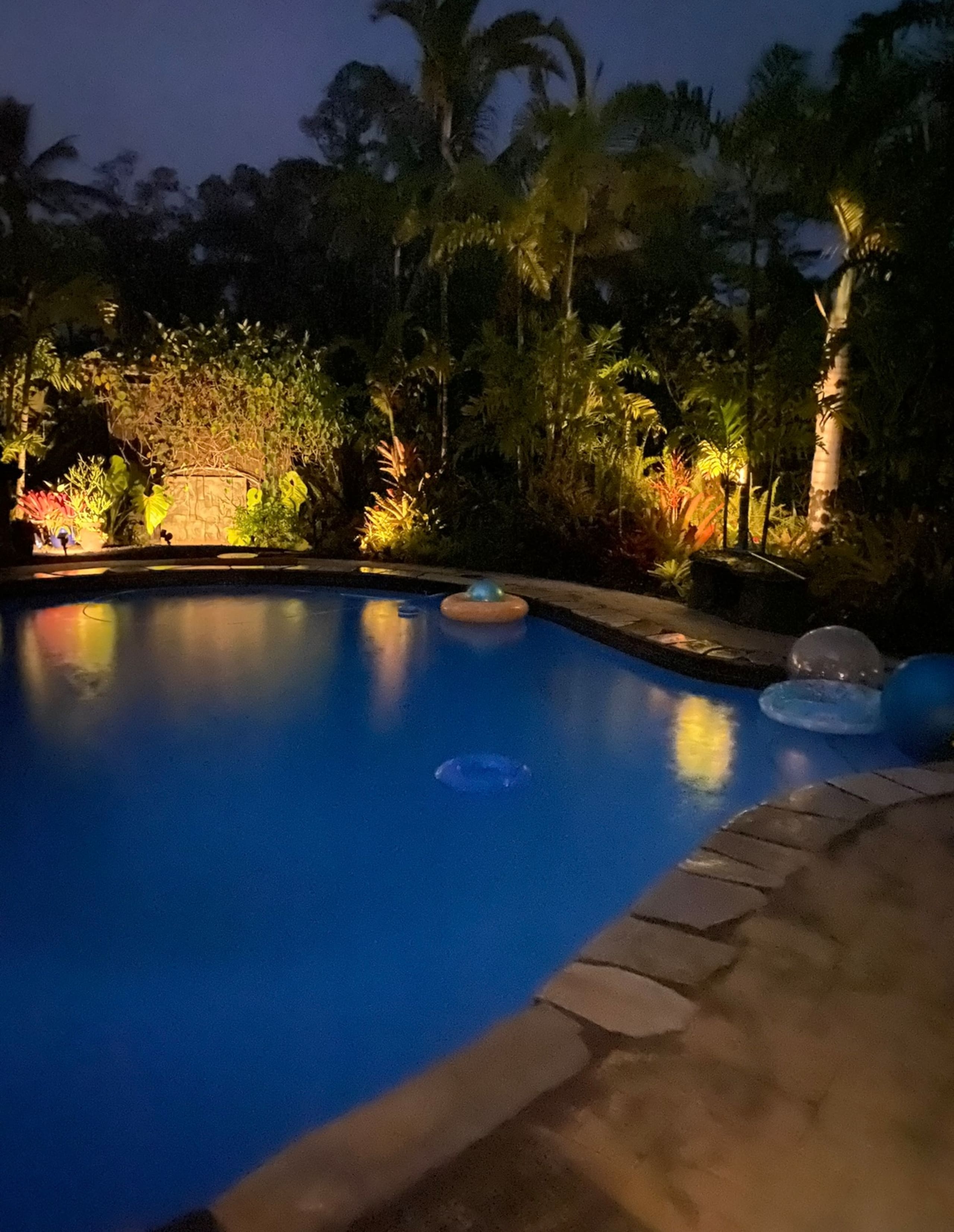 TROPICAL GARDEN OASIS - Photo 46