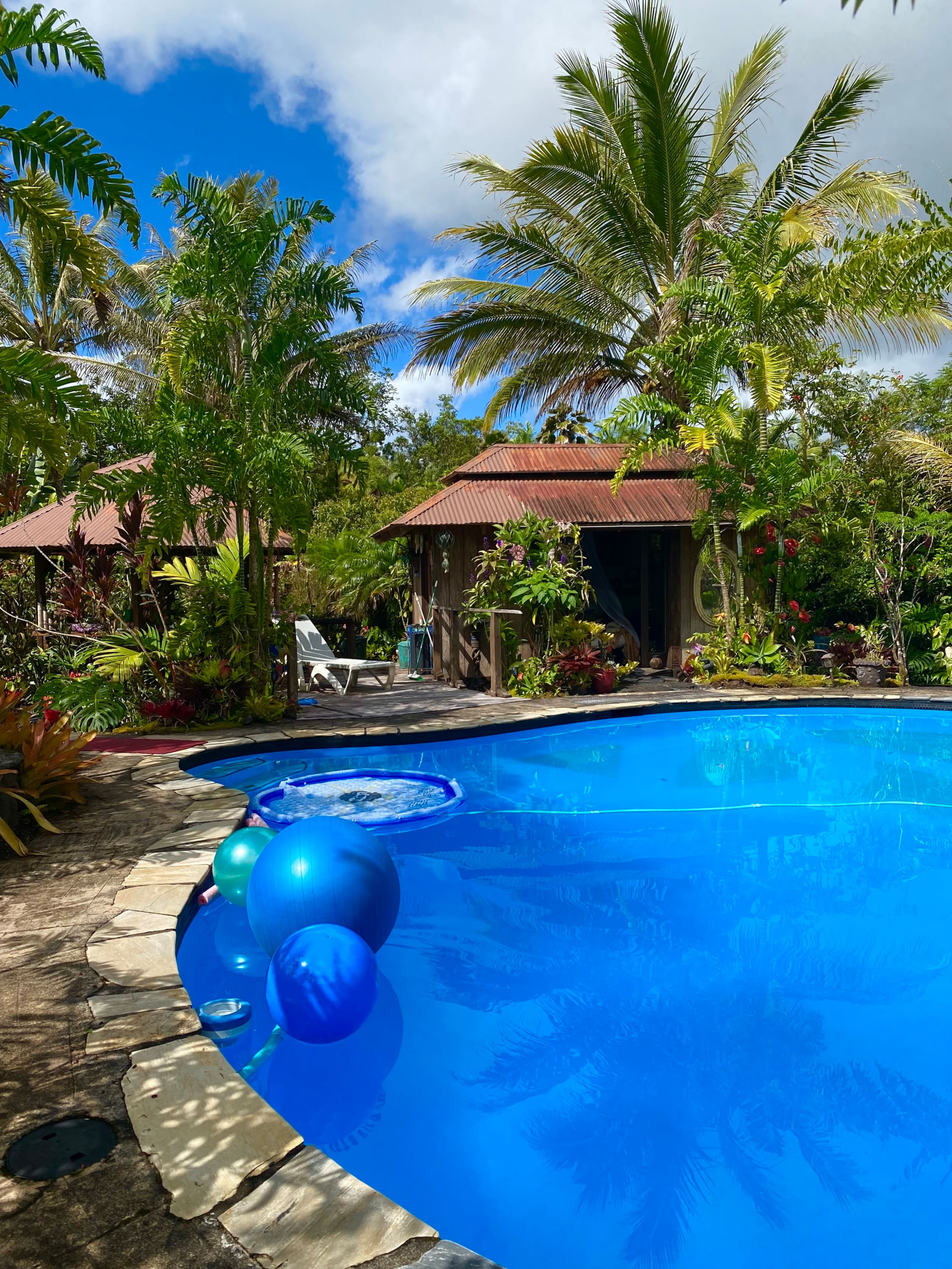 TROPICAL GARDEN OASIS - Photo 51