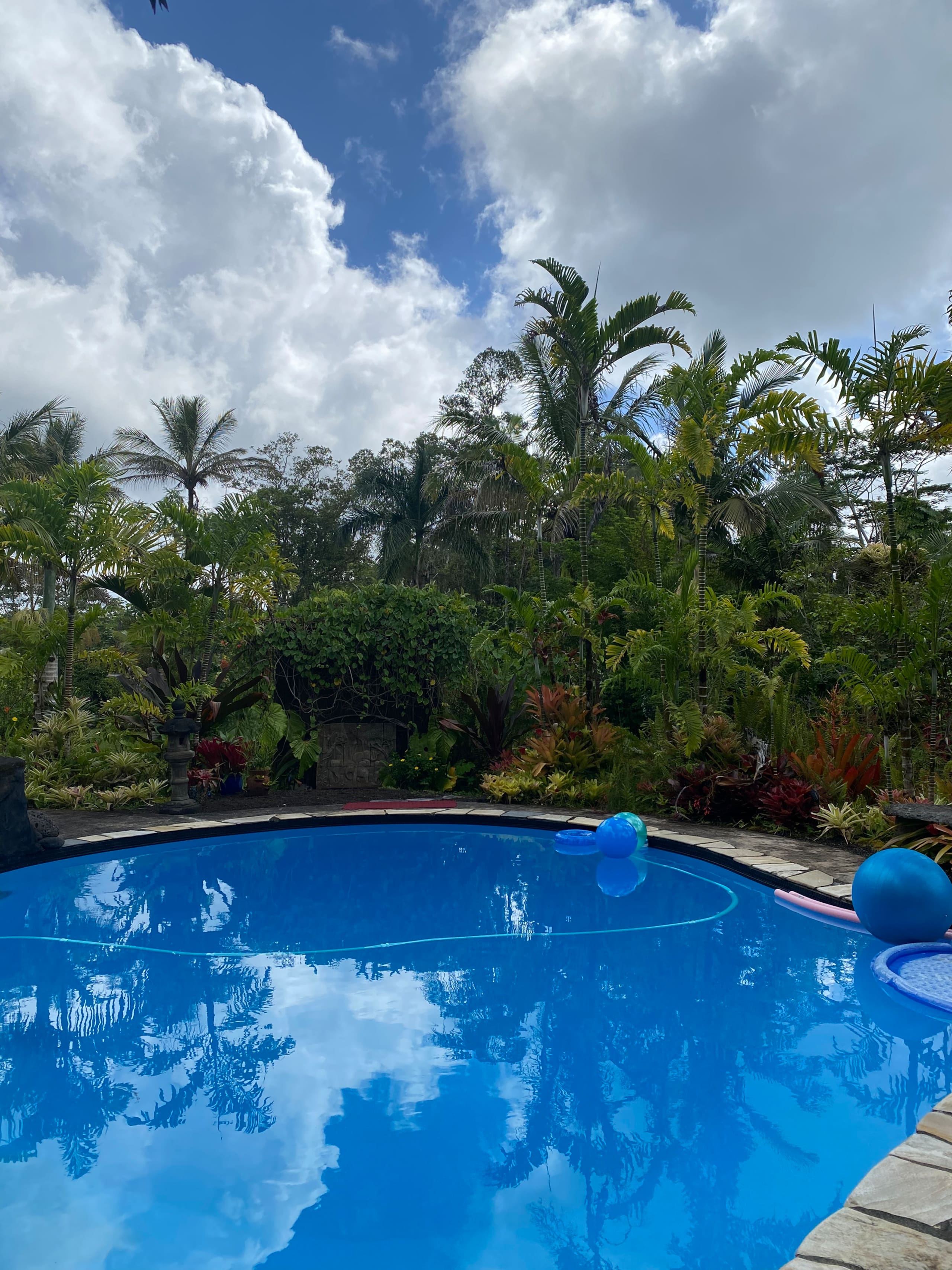 TROPICAL GARDEN OASIS - Photo 50