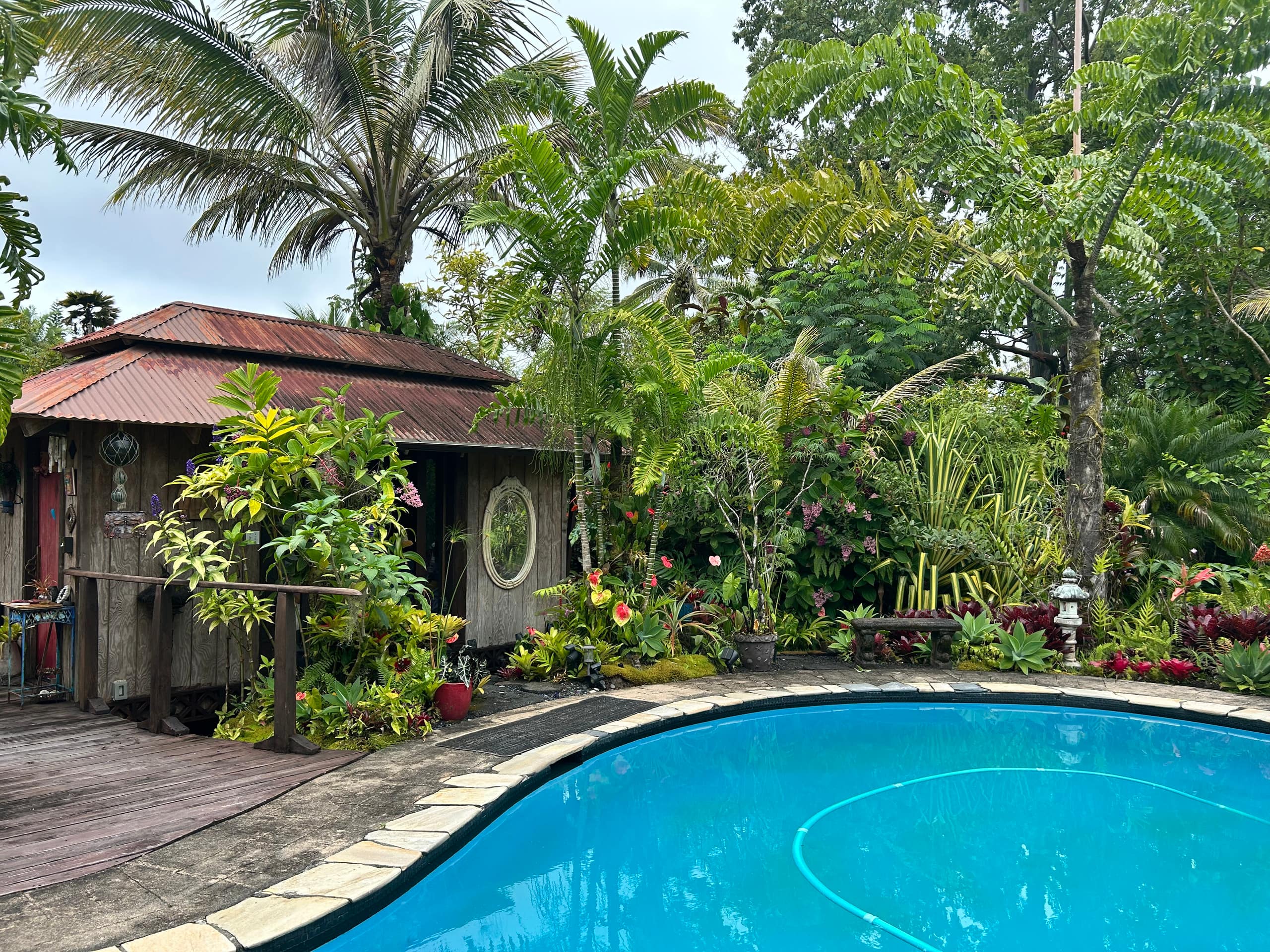 TROPICAL GARDEN OASIS - Photo 45