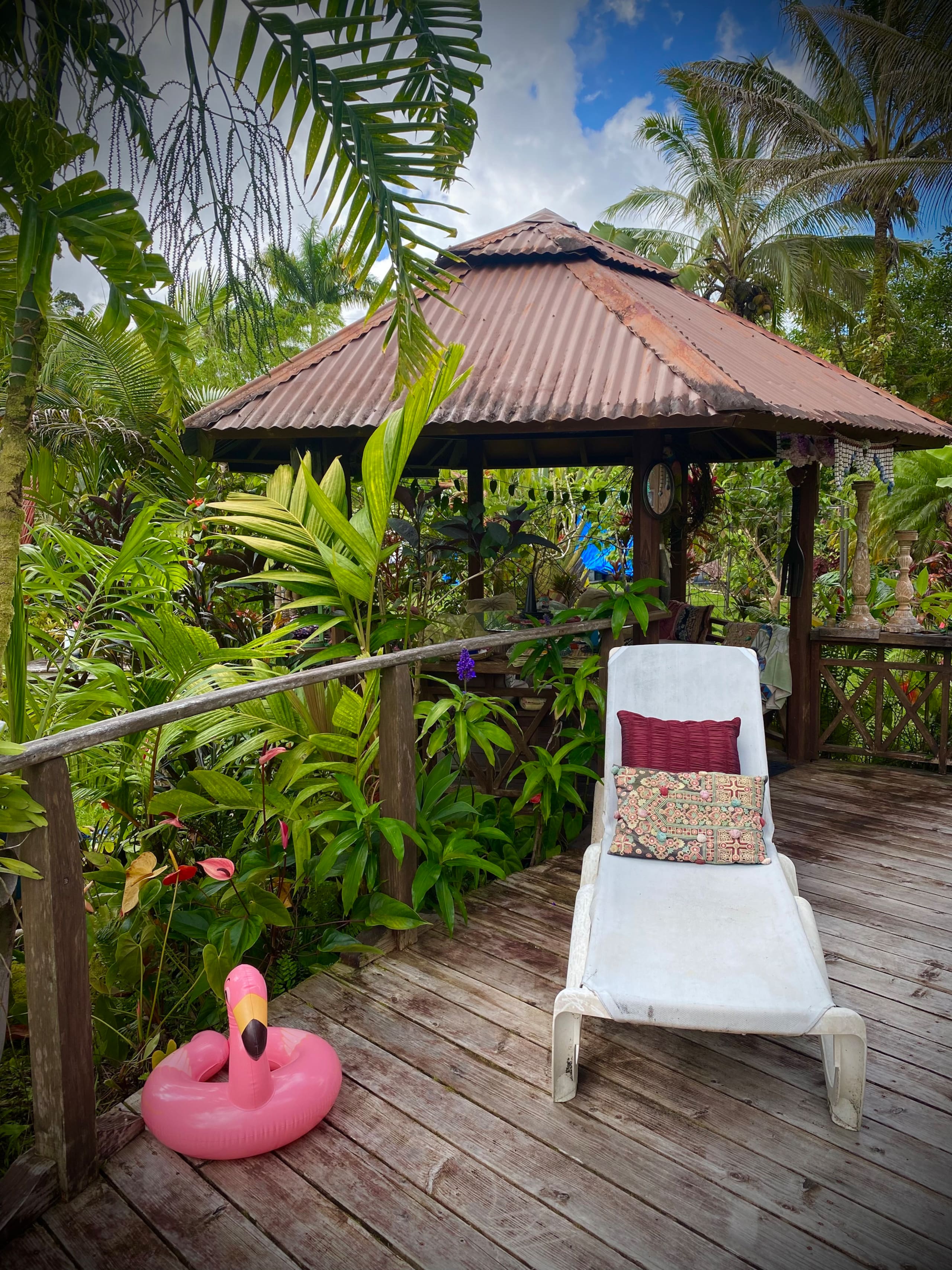 TROPICAL GARDEN OASIS - Photo 11