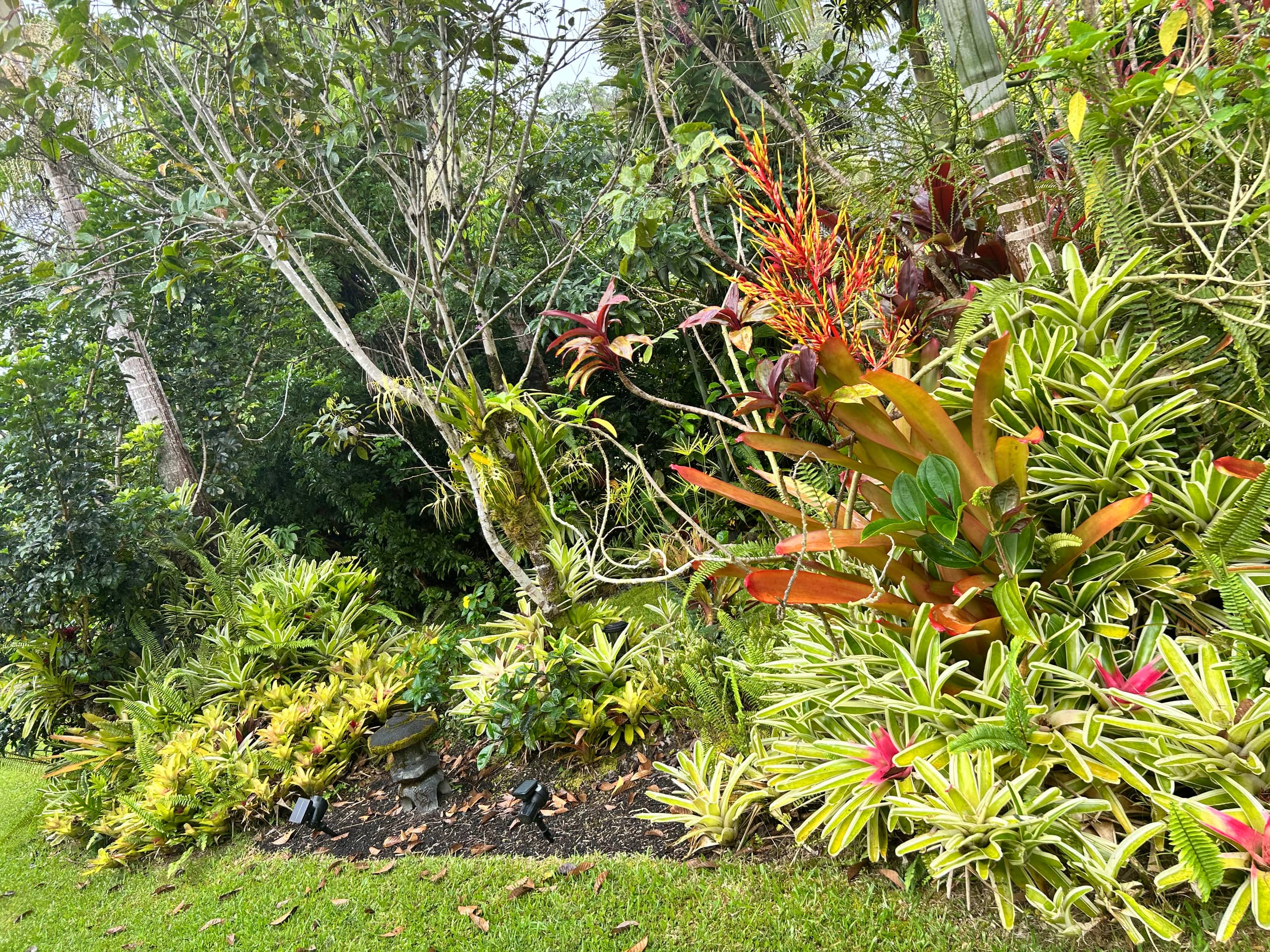 TROPICAL GARDEN OASIS - Photo 13