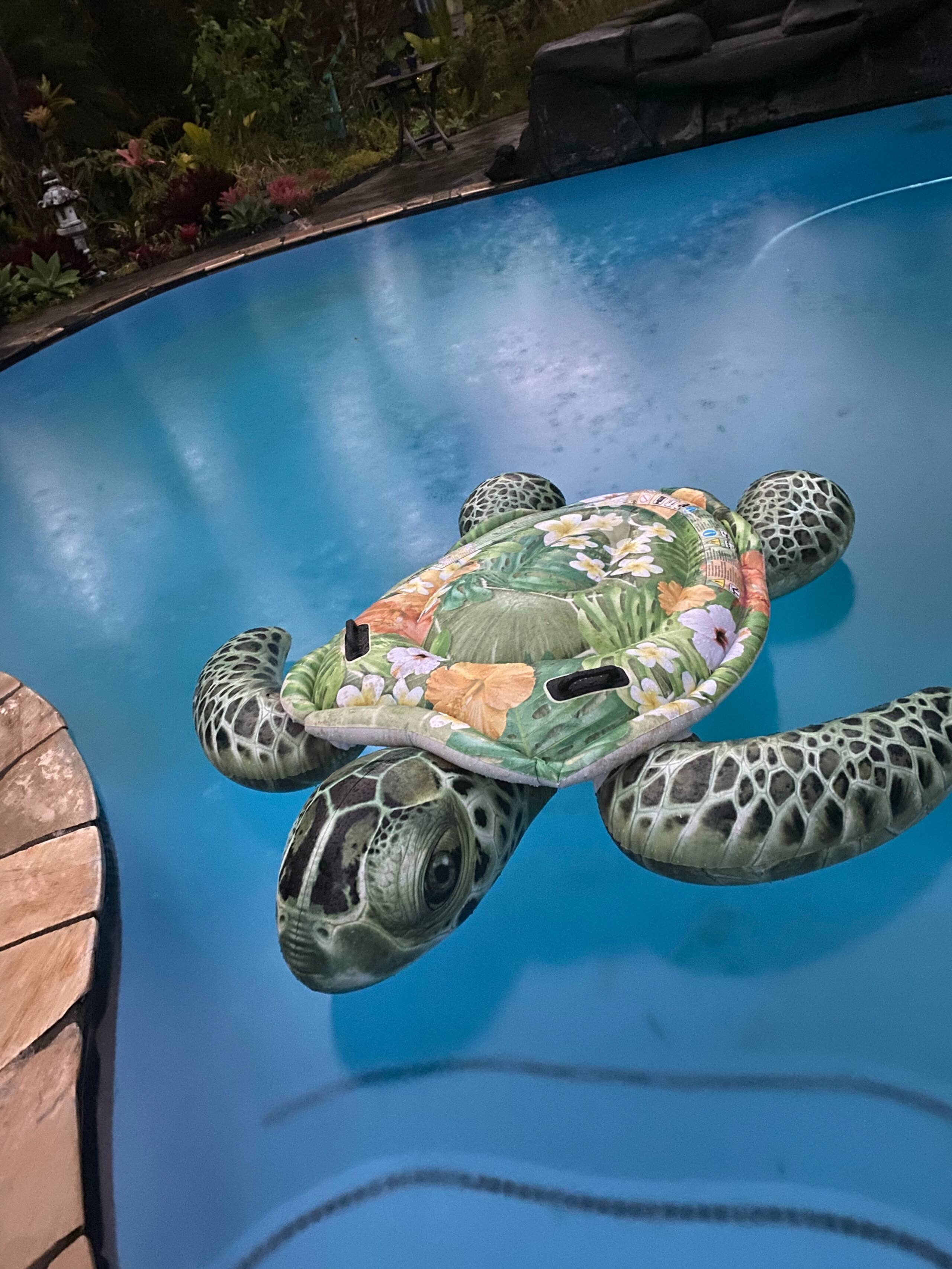 TROPICAL GARDEN OASIS - Photo 49