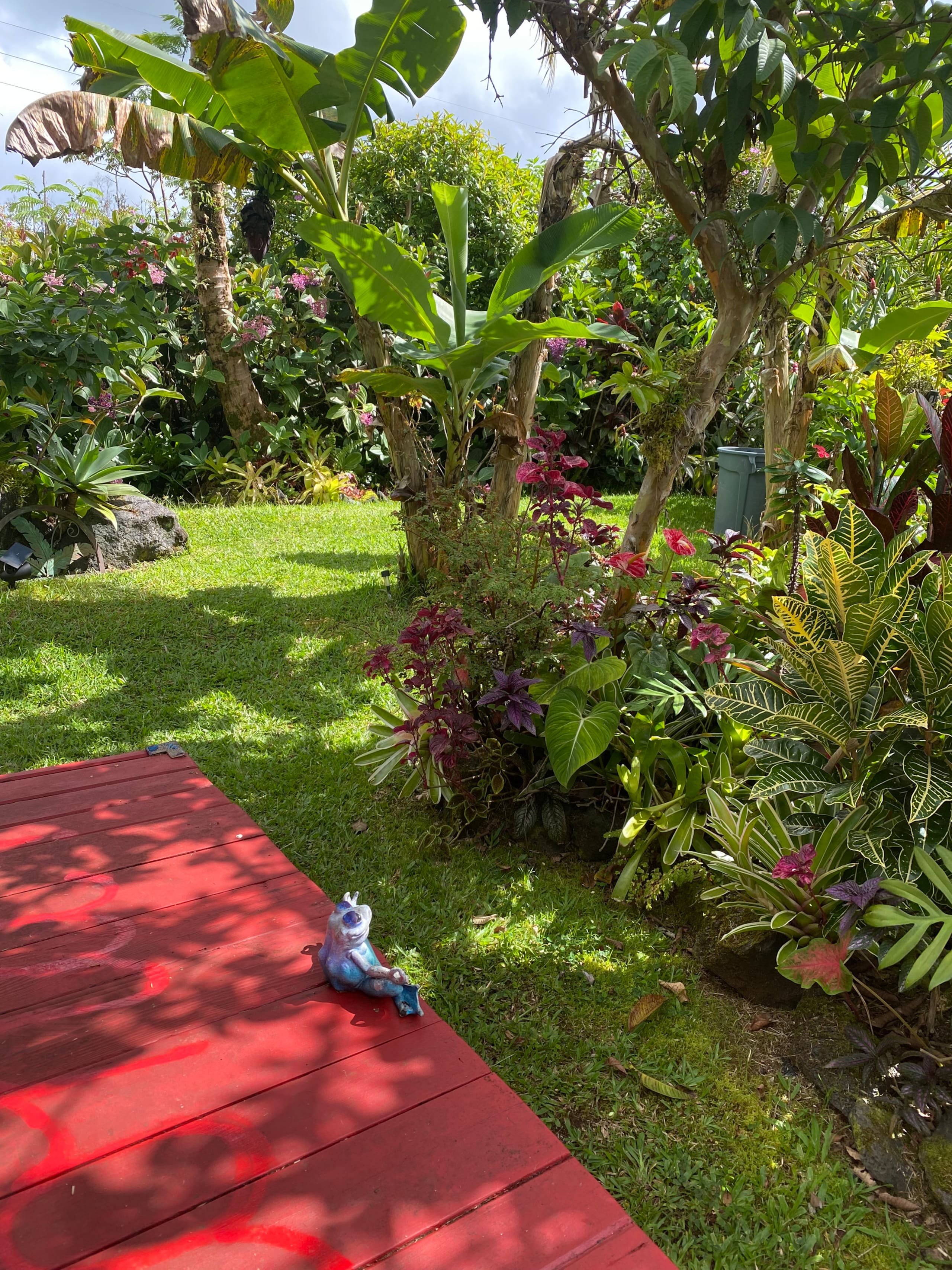 TROPICAL GARDEN OASIS - Photo 15