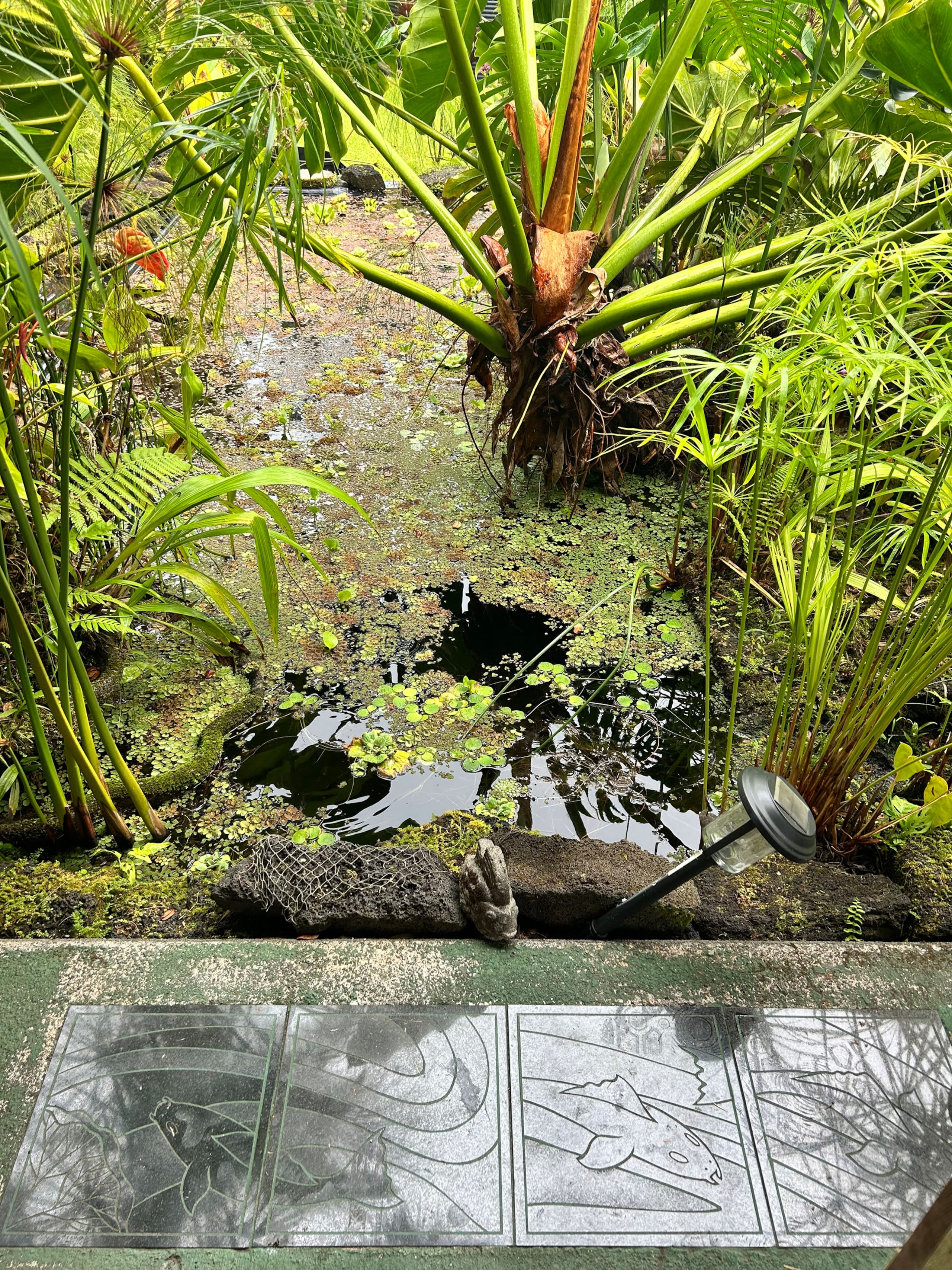 TROPICAL GARDEN OASIS - Photo 14