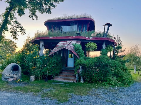 The Mushroom Cabin ~ it’s a real trip