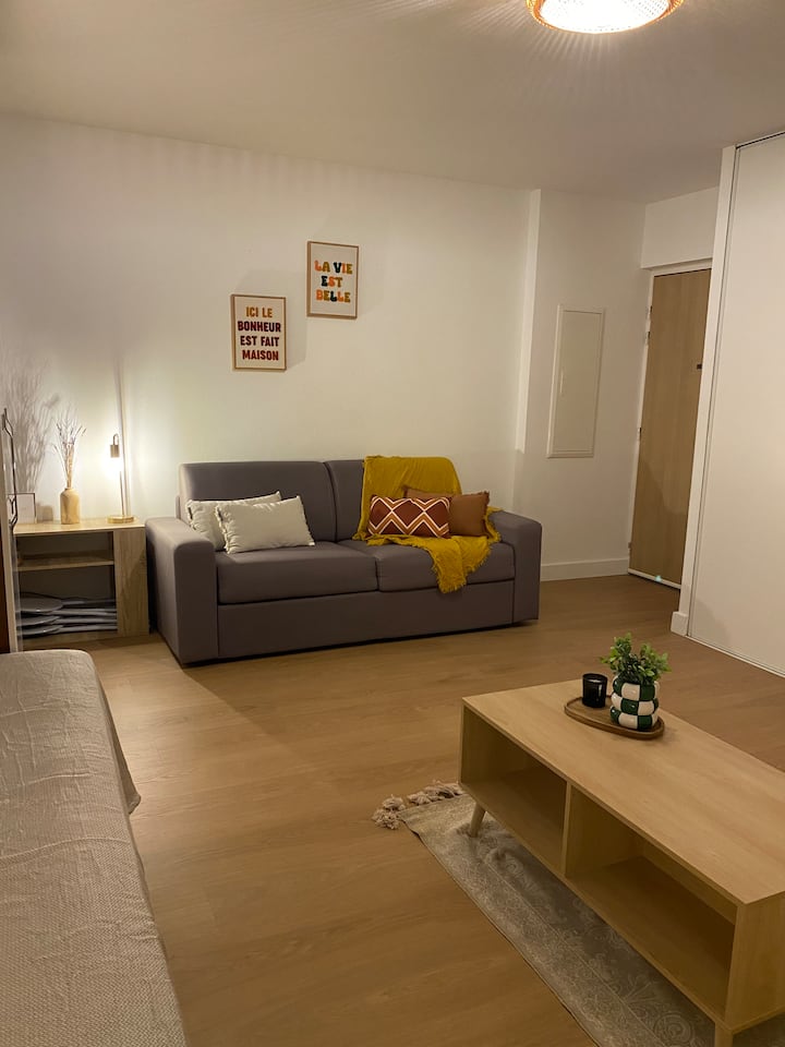 Joli Studio Idéalement Situé ! - Porto-Vecchio