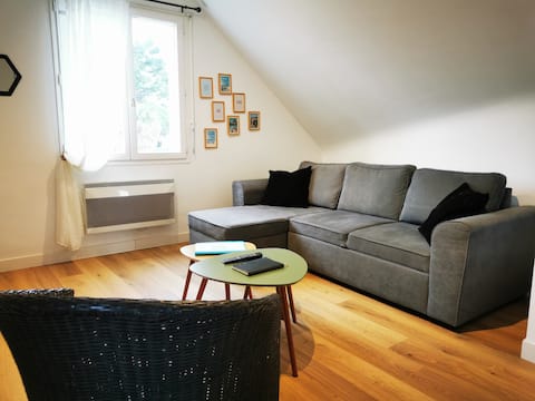 Propriété Airbnb réussie: Cocoon in the middle of Trégastel à Trégastel