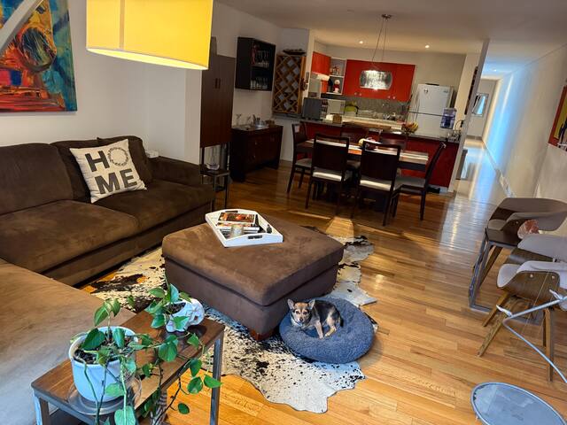 Fabulous Condo in historic Roma +Housekeeper+100mb gallery image 2