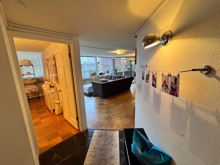Lake Wa View Hideout - Fast Wifi/ac/beach - Medina, WA