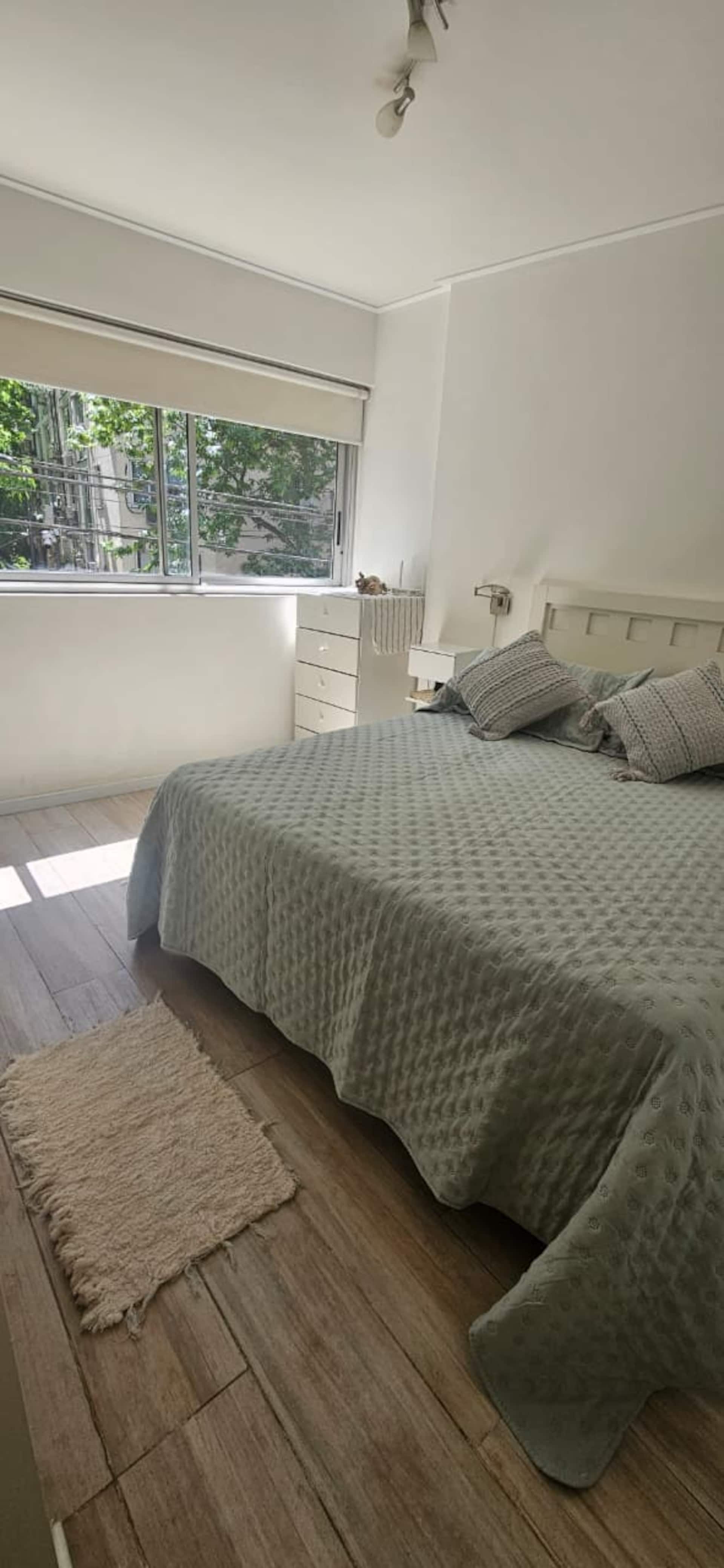 Apartment near Alto Palermo in Recoleta
