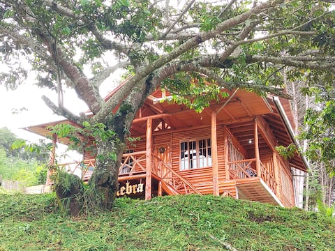 PALO CULEBRA 
         chalet